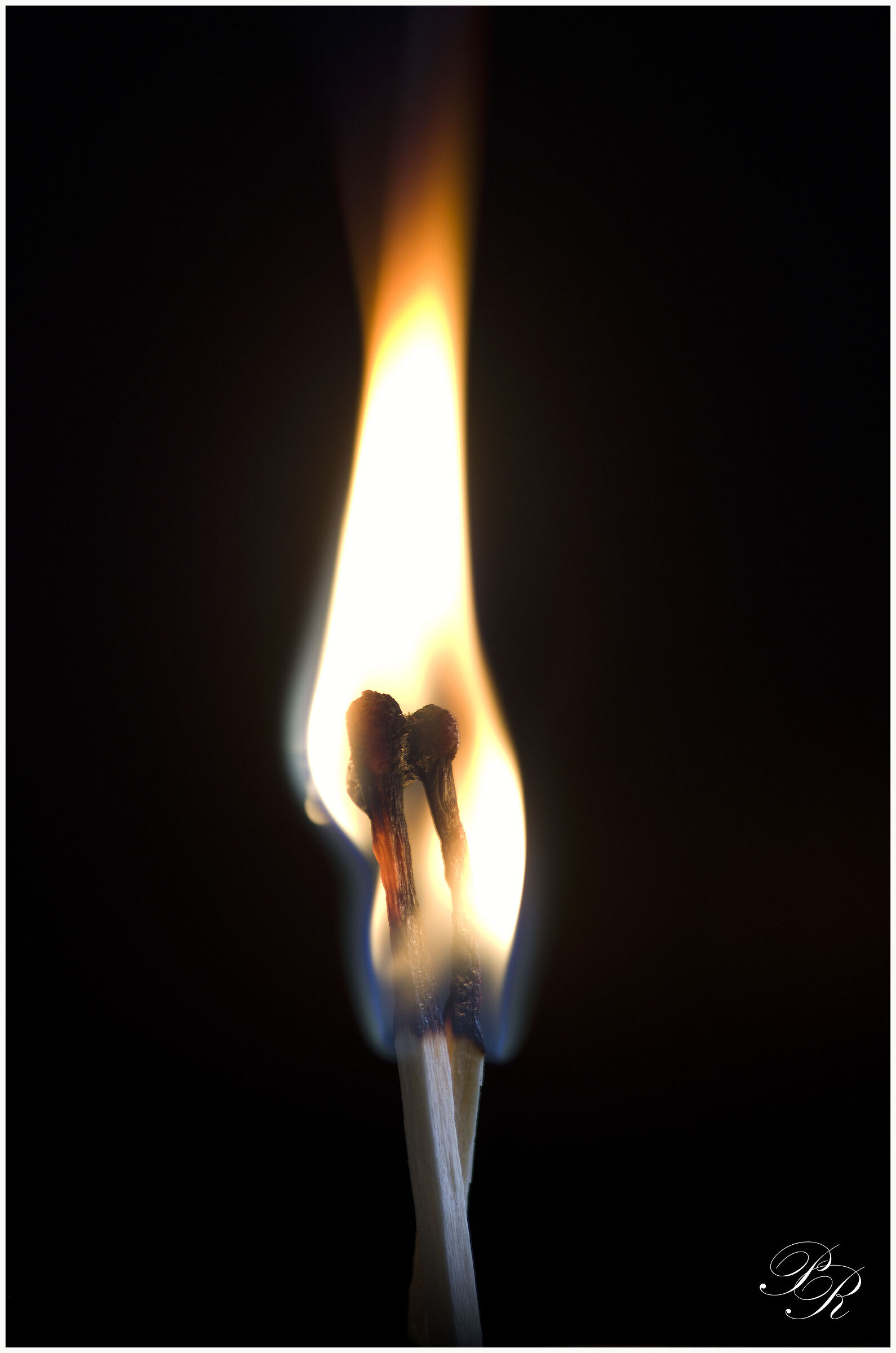 Burning Passion