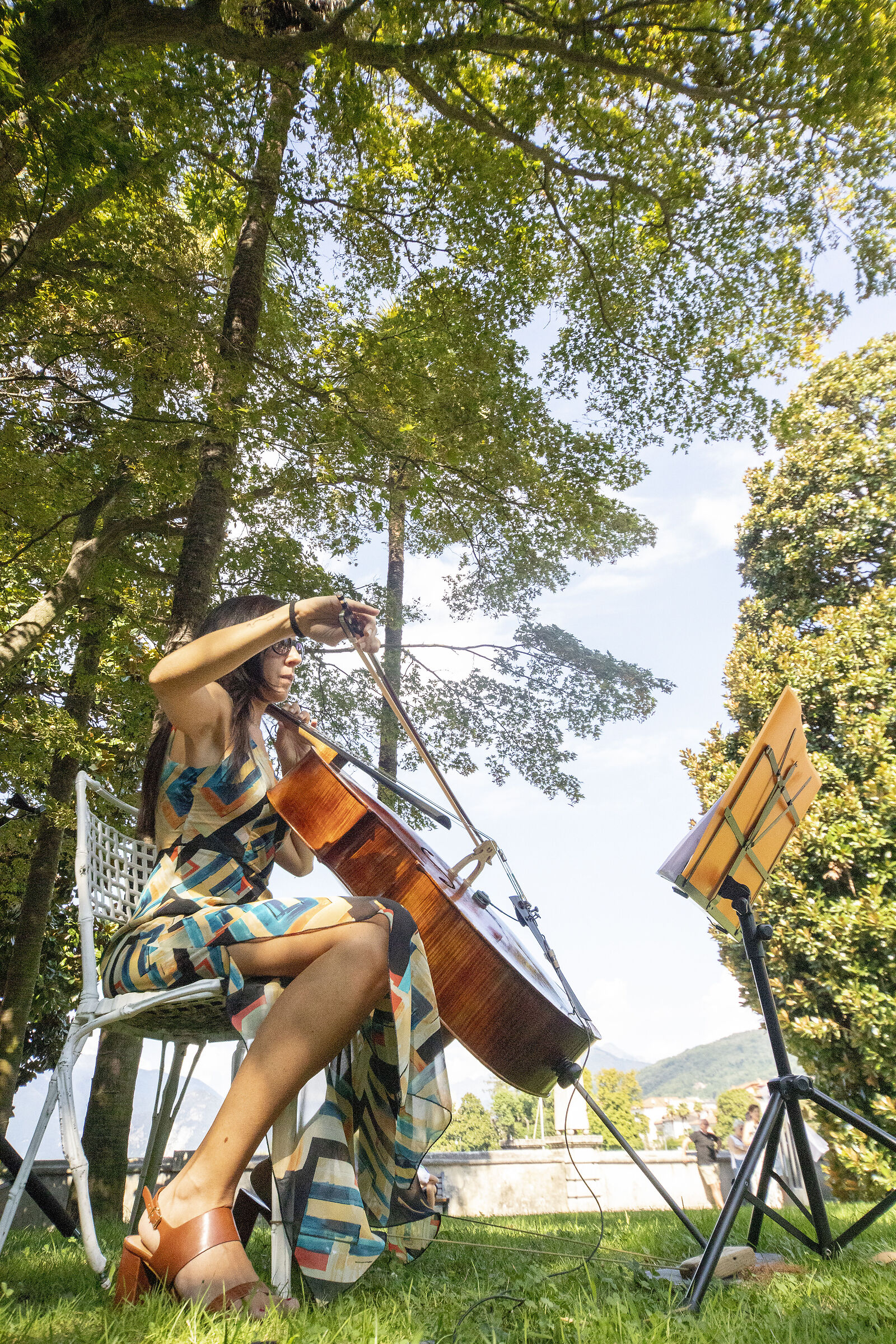 The cellist