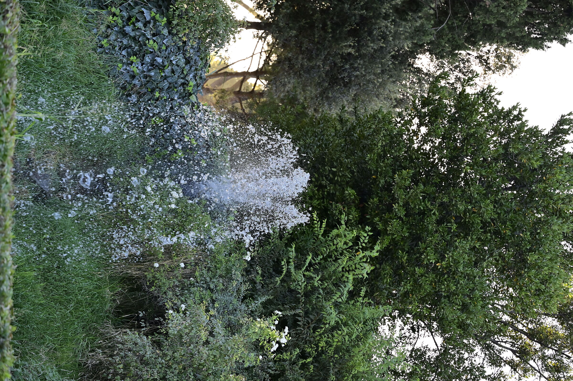 Giardino delle cascate del laghetto dell'Eur