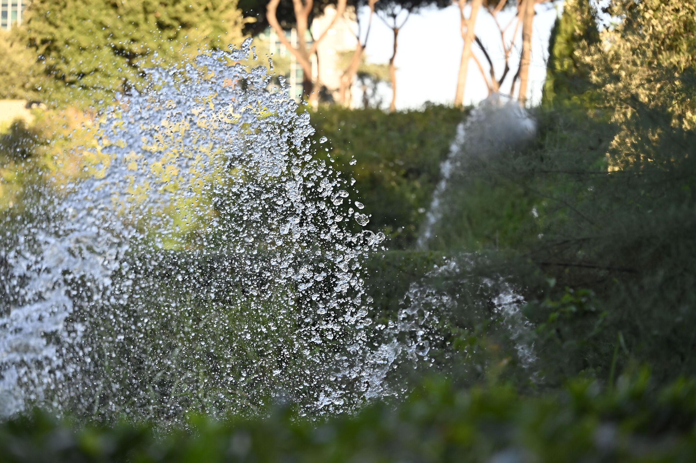 Giardino delle cascate del laghetto dell'Eur
