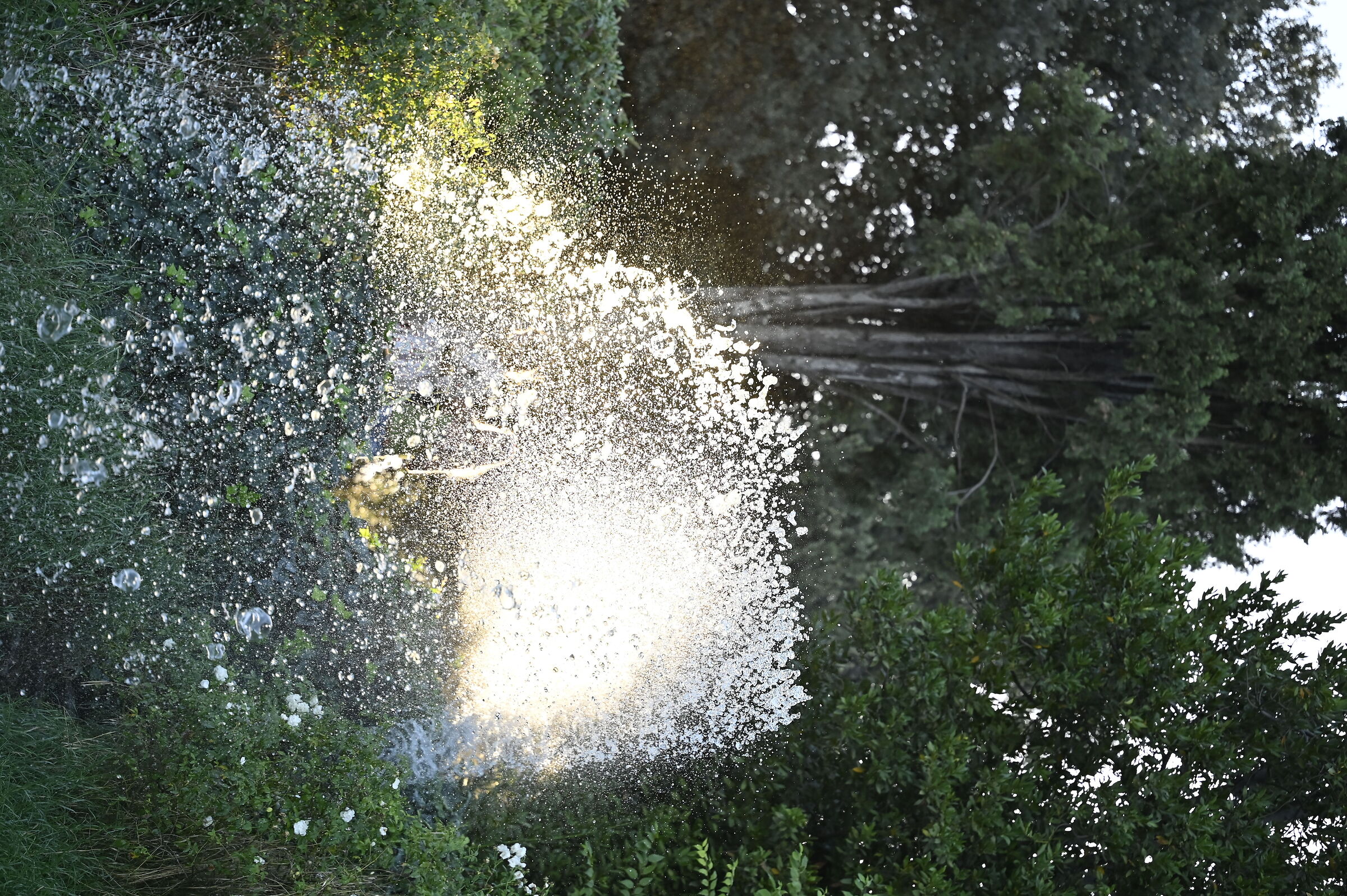 Giardino delle cascate del laghetto dell'Eur