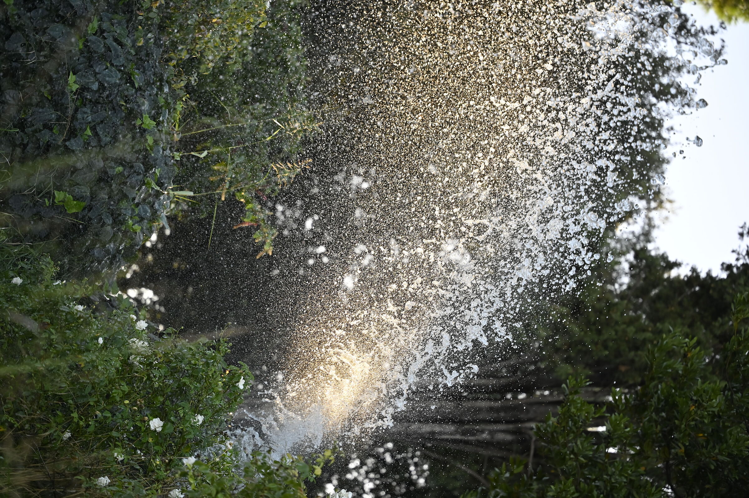 Giardino delle cascate del laghetto dell'Eur