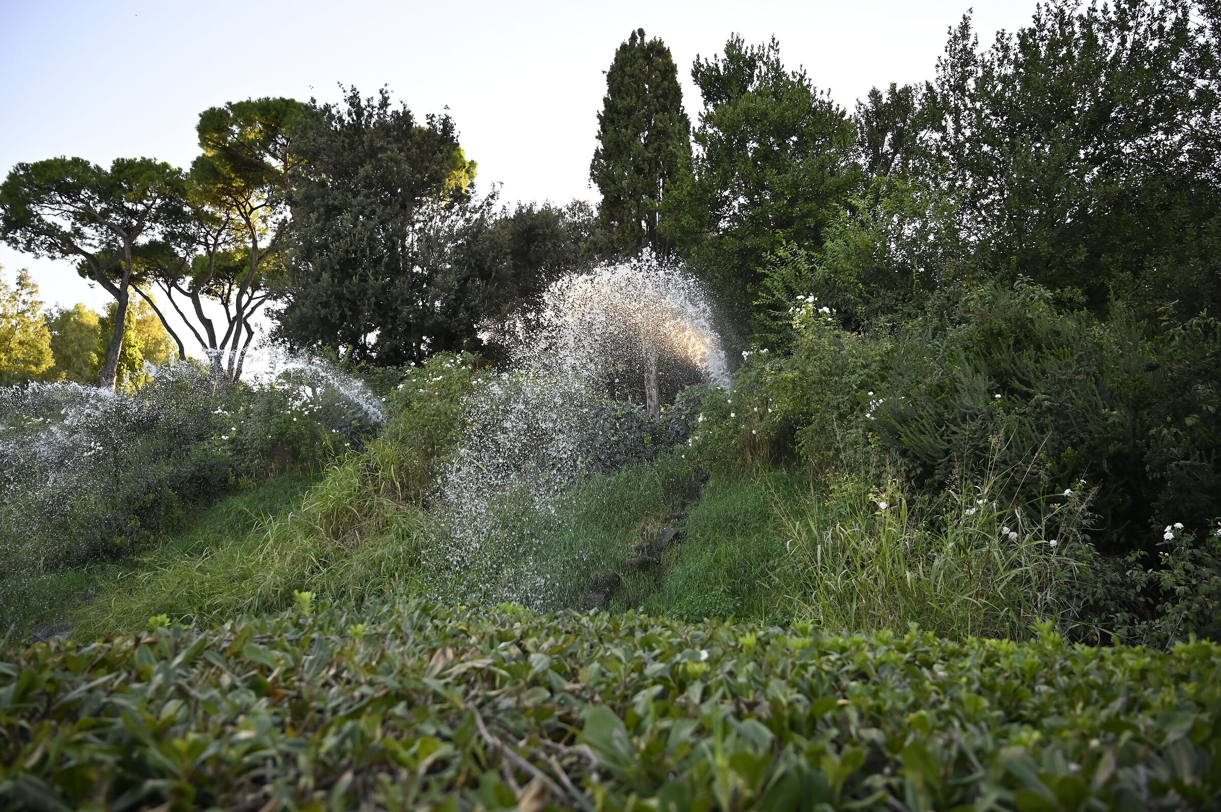 Giardino delle cascate del laghetto dell'Eur