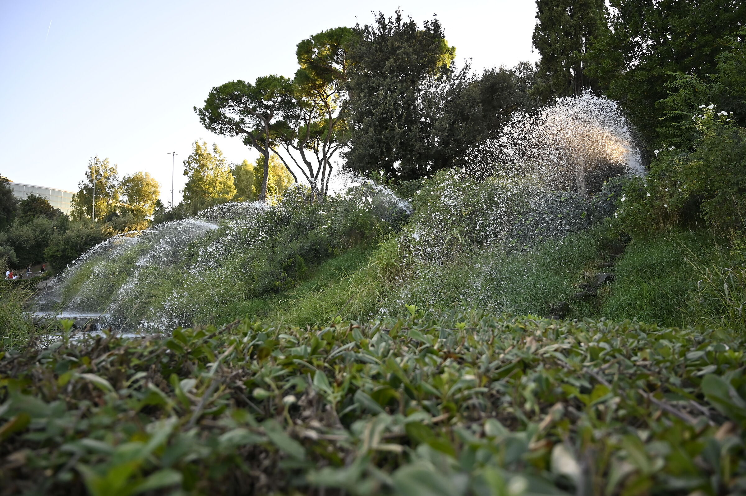 Giardino delle cascate del laghetto dell'Eur
