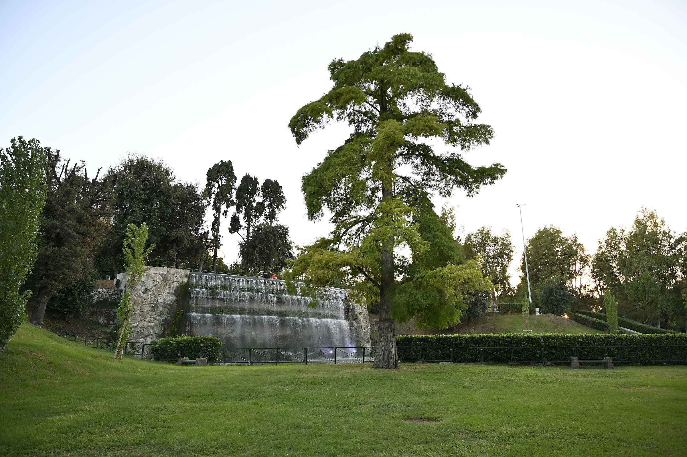 Giardino delle cascate del laghetto dell'Eur
