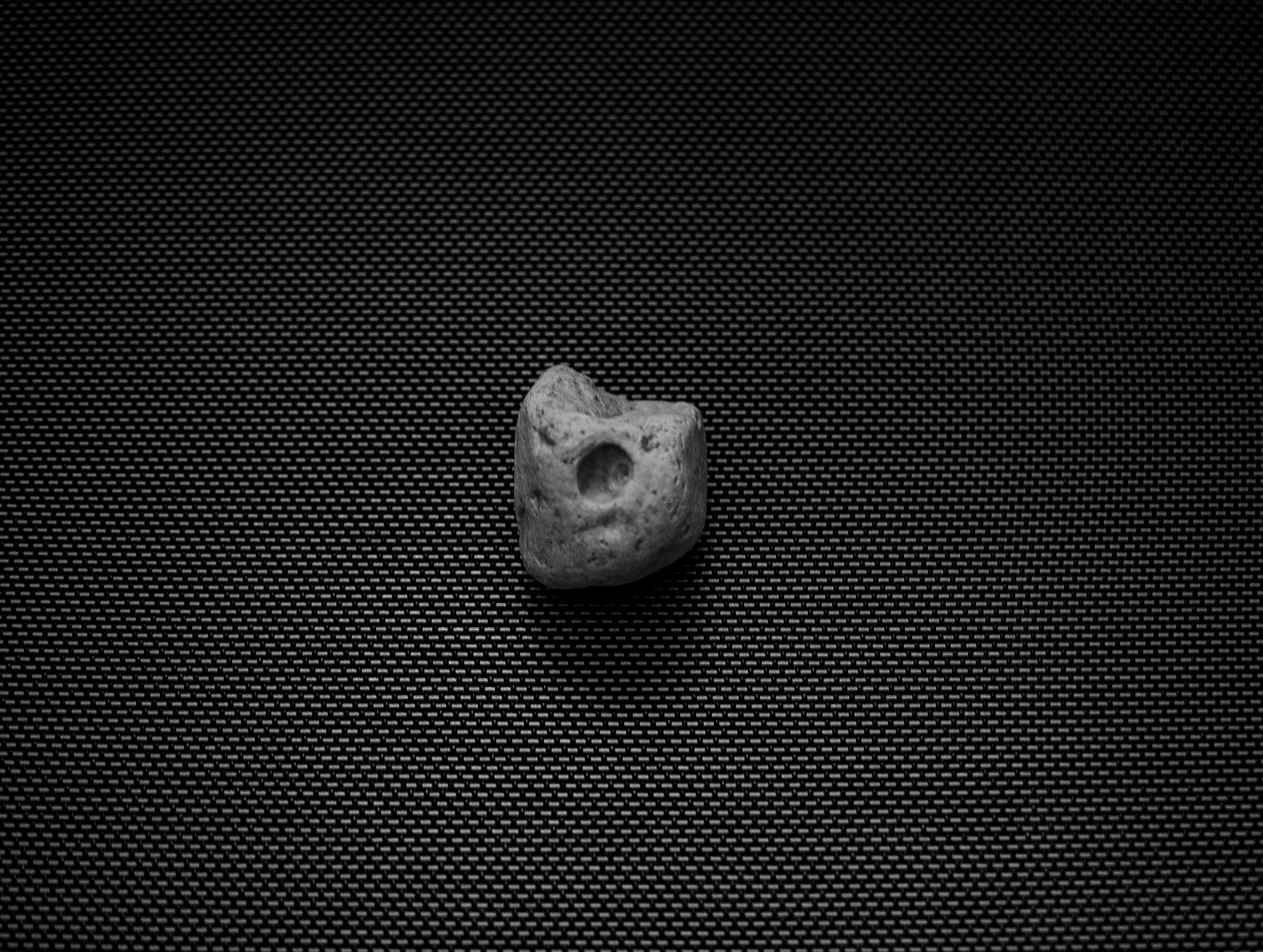 Fossile