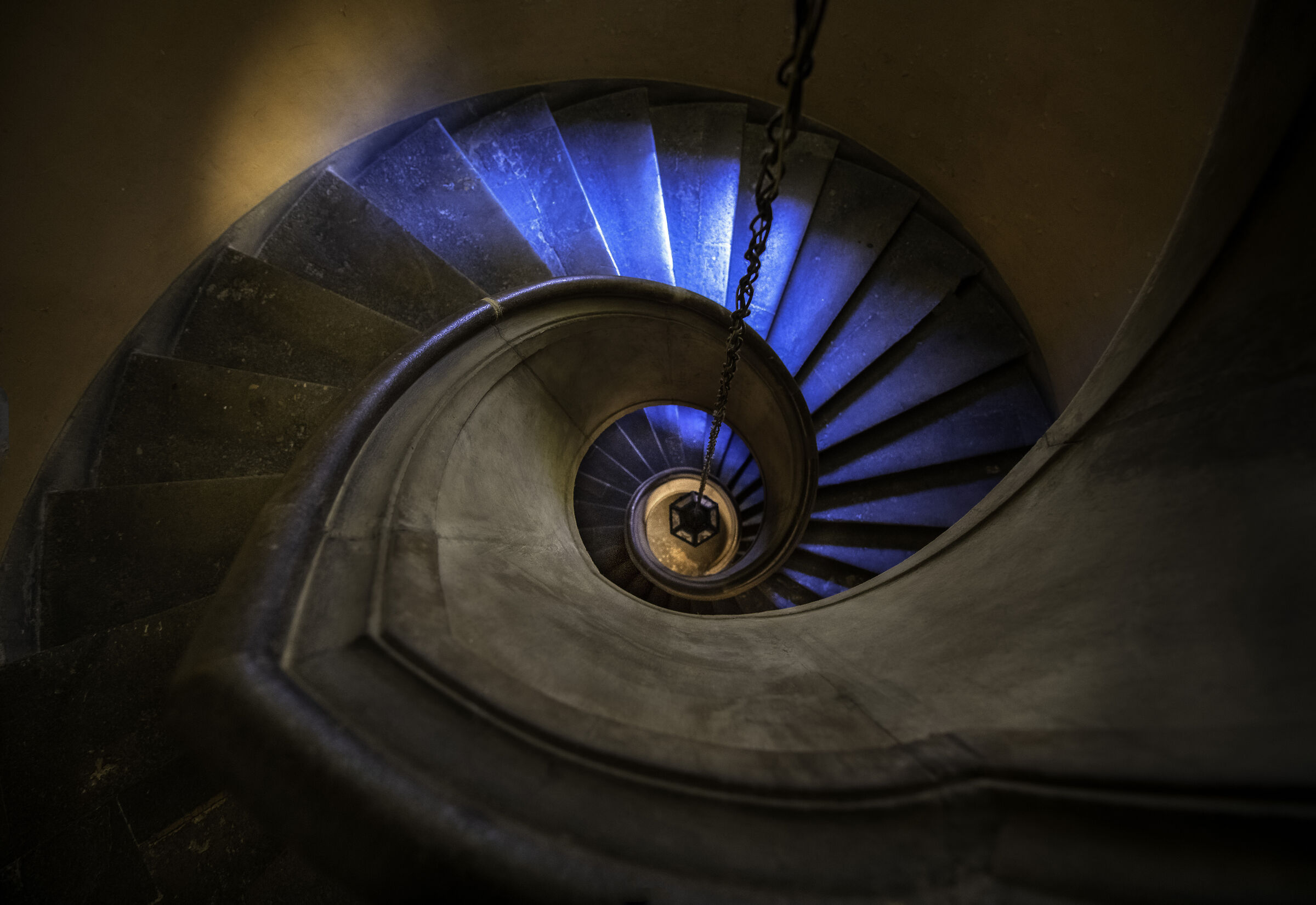 Il Vignola e la sua arte