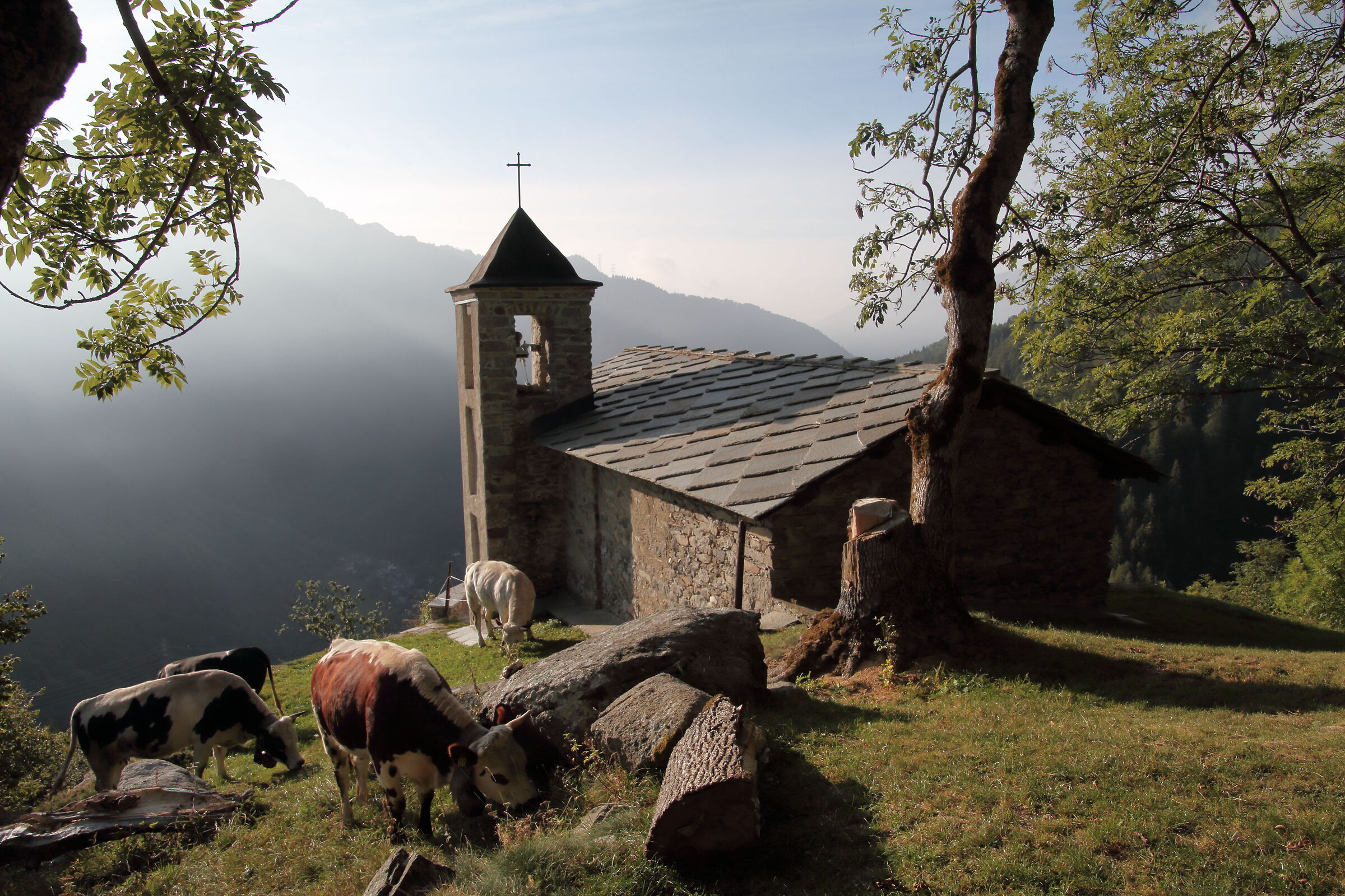 Armonia del panorama montano