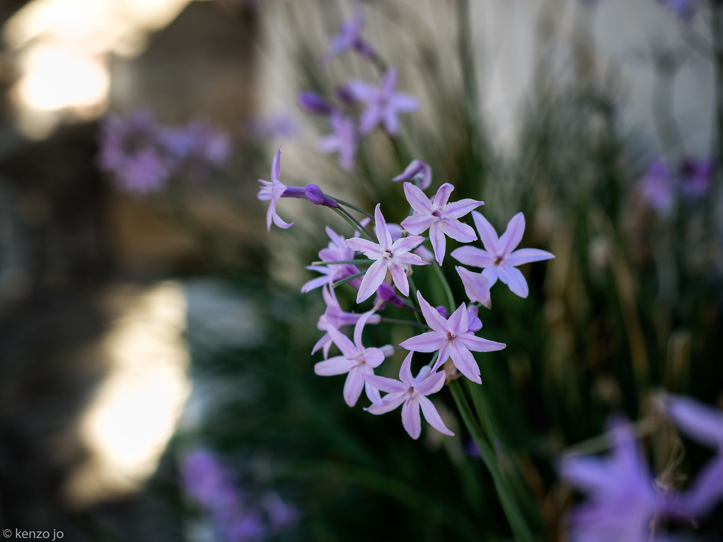 Last golden minute...