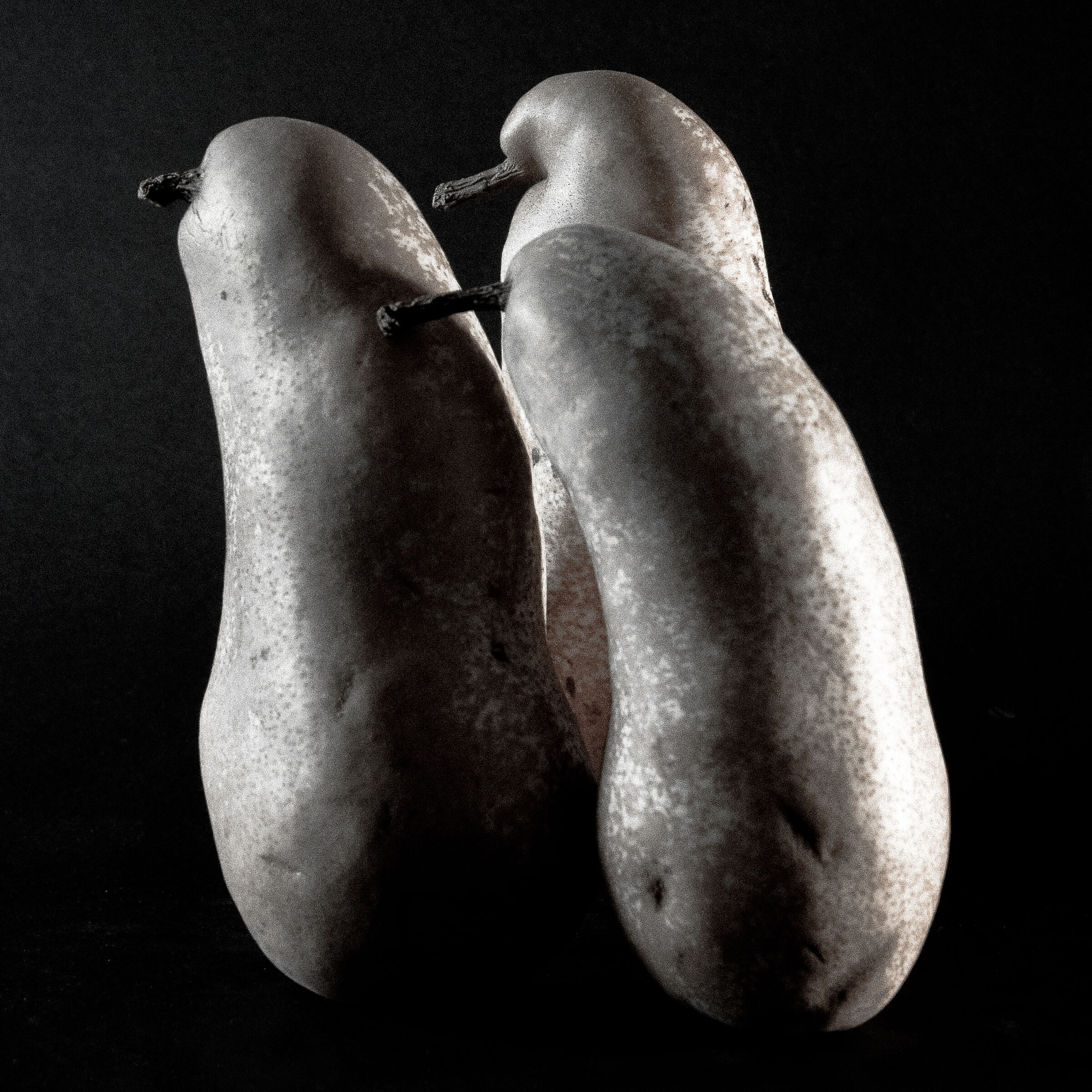 Omaggio ad Edward Weston N° 1