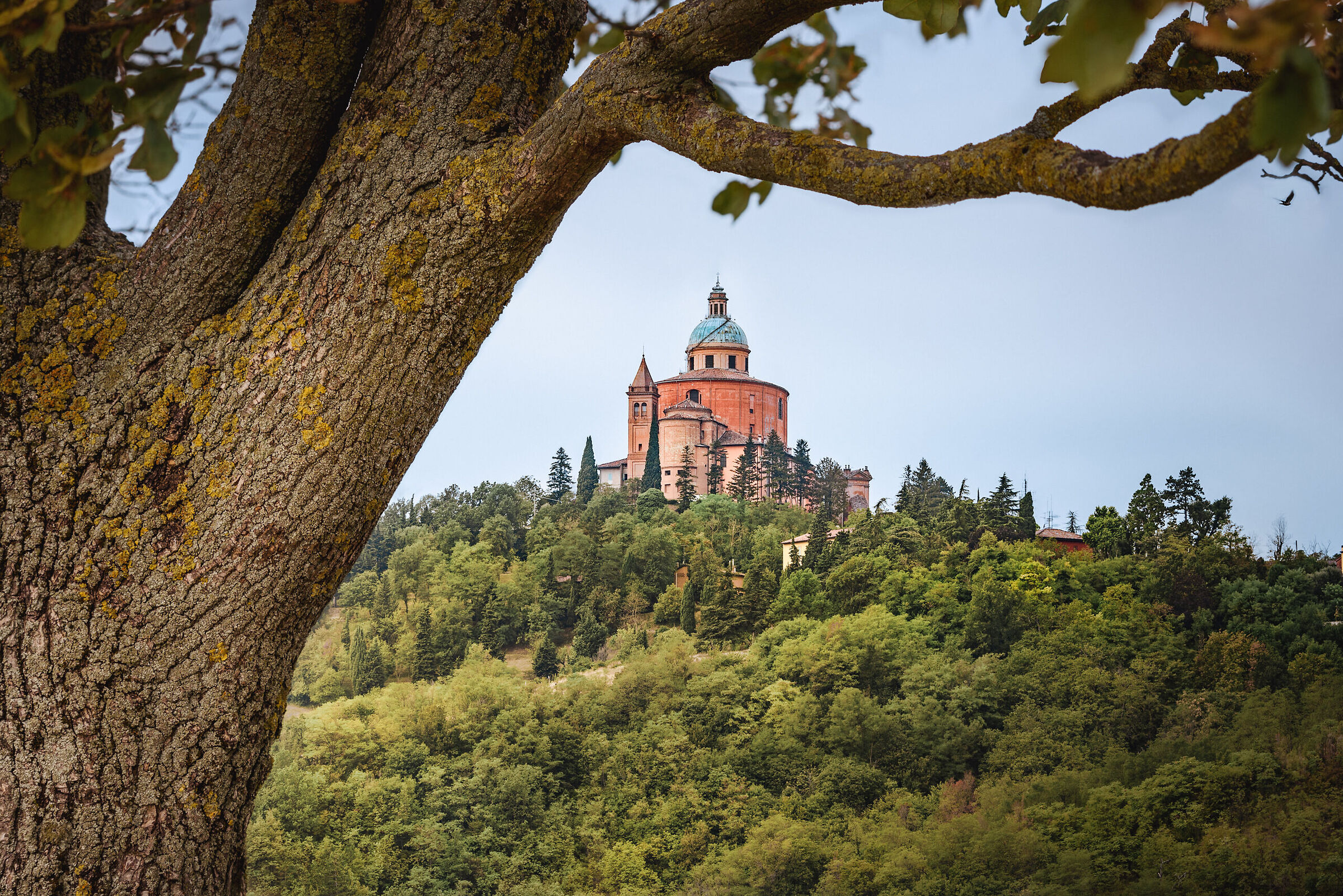 On the hill of the Guardia