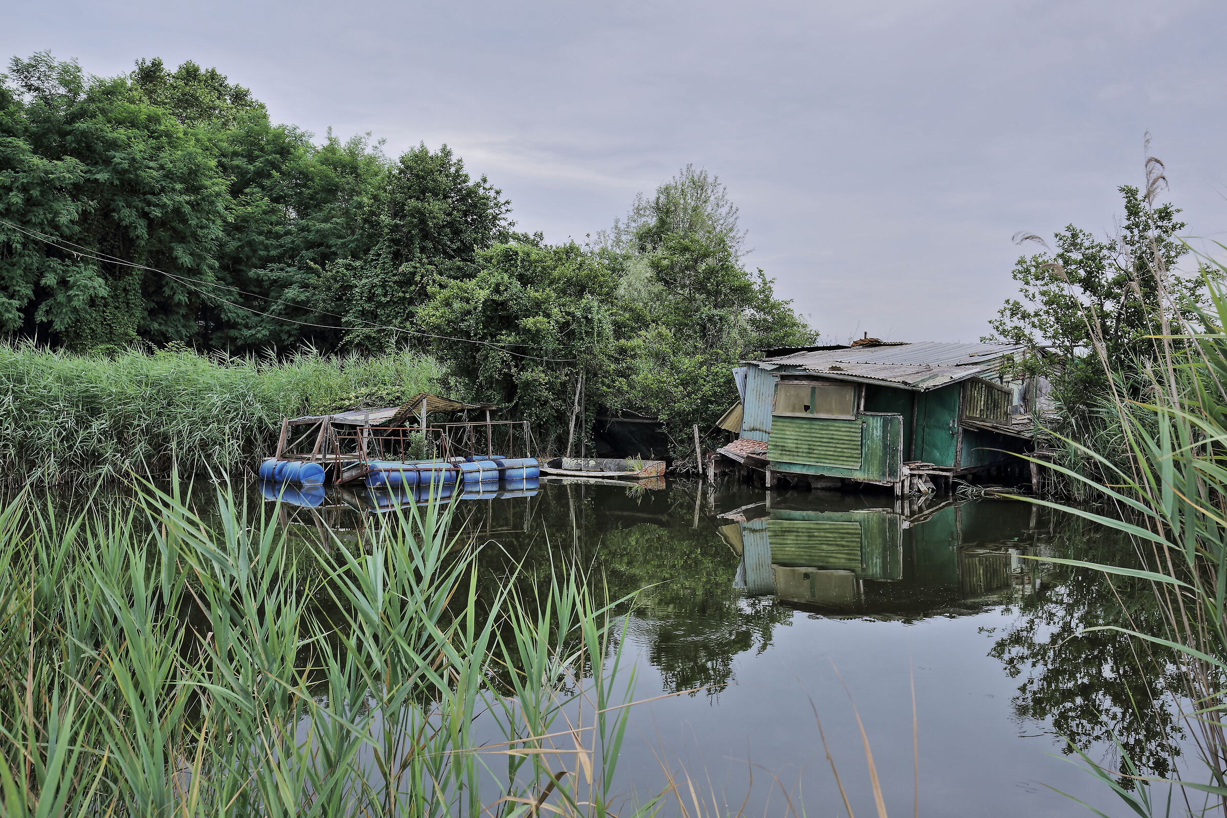 Massaciuccoli inside the lipu oasis