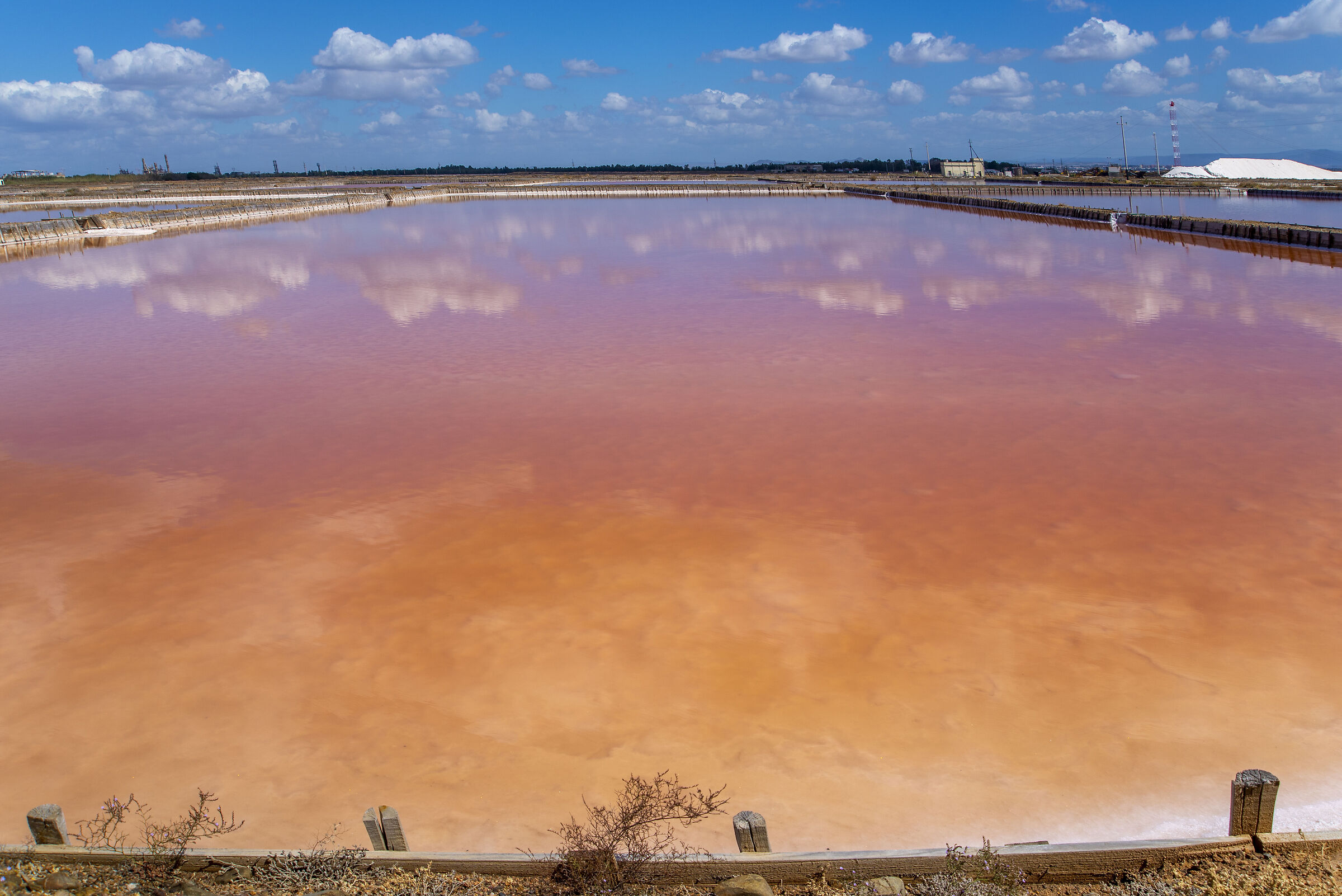 salt pans old accounts