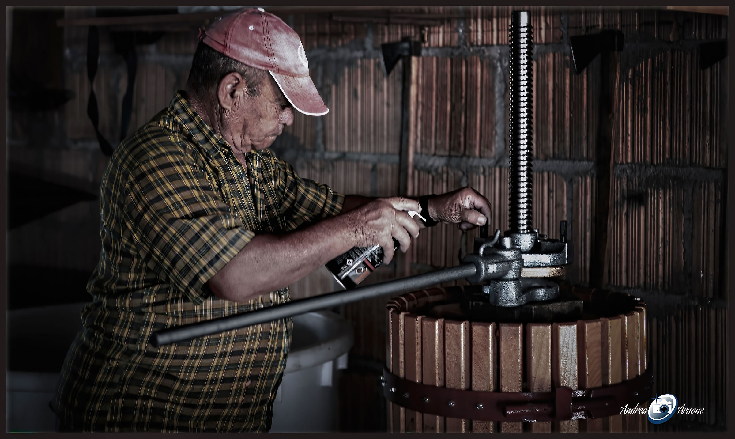 scatto un pò mosso, Vendemmia