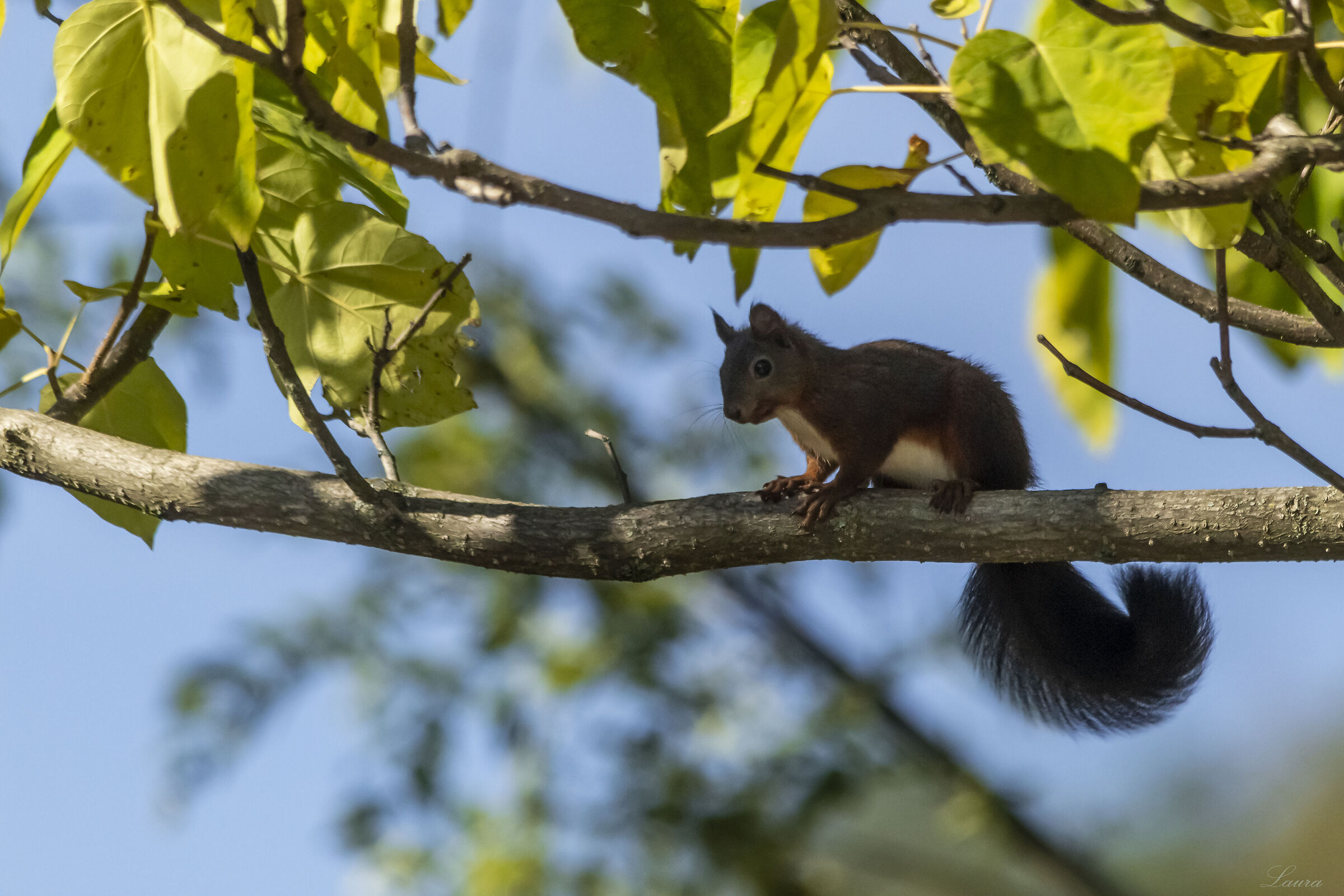 When you least expect it