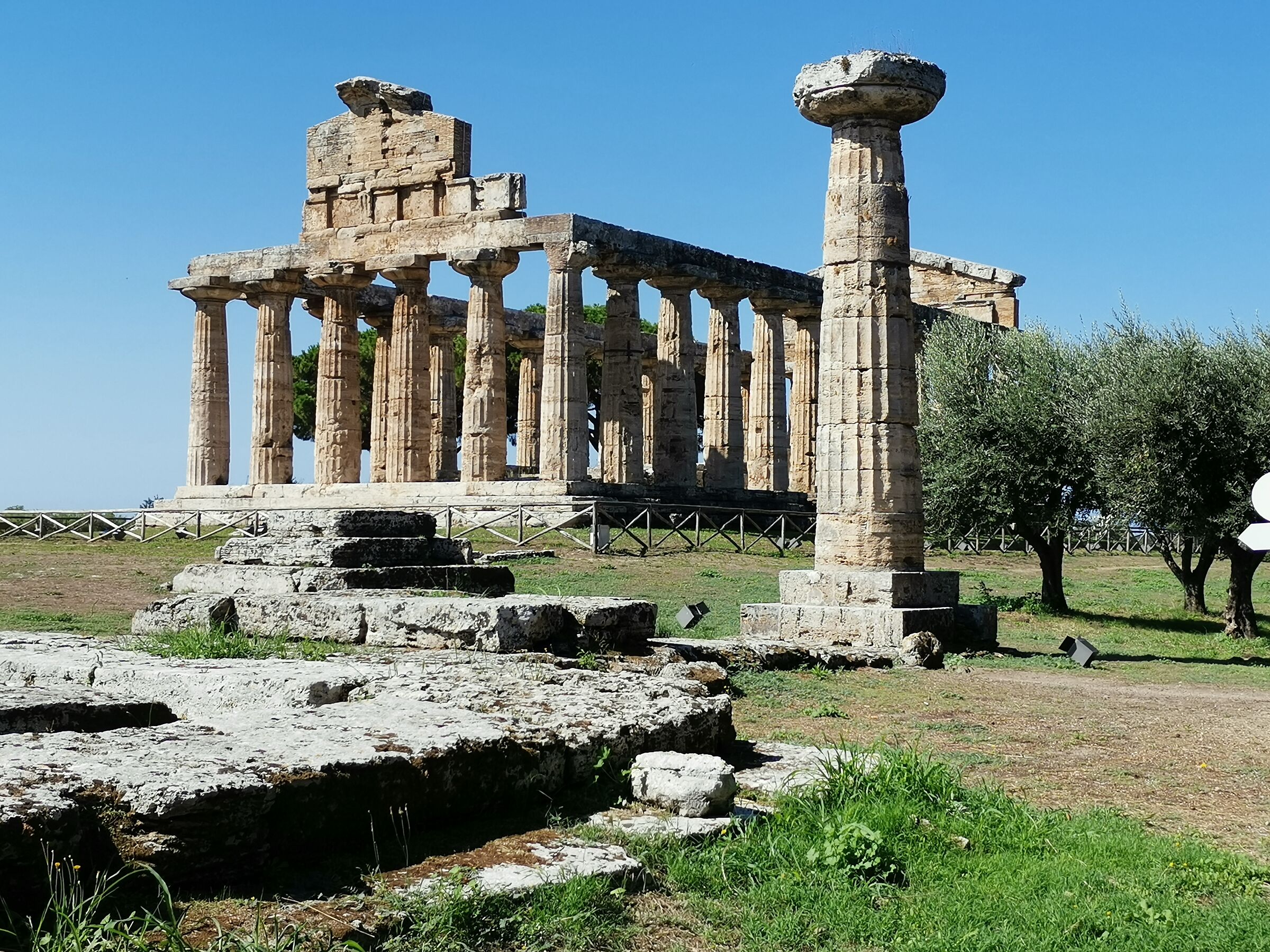 Temple of Athena (Paestum)
