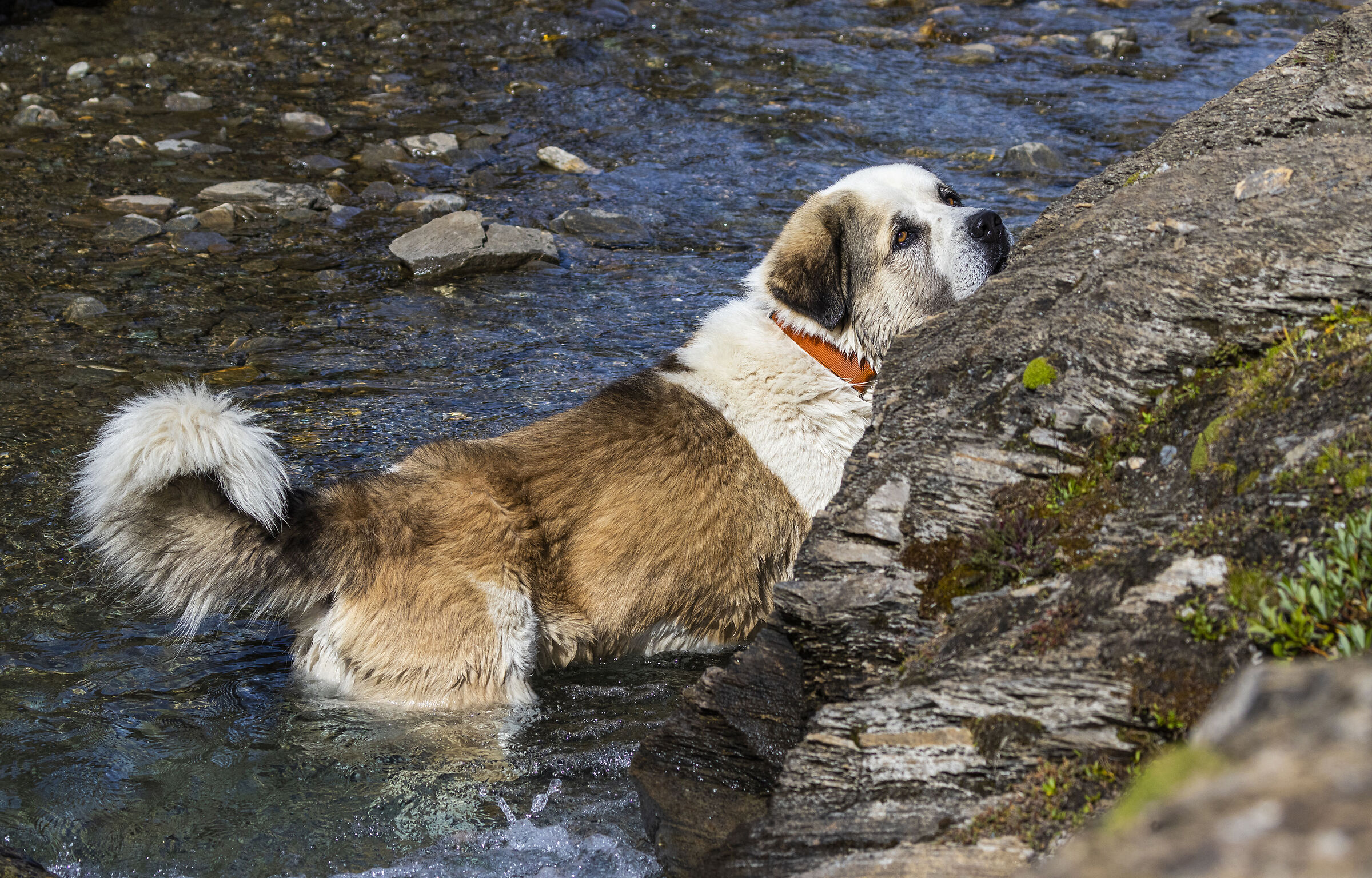 Bath at high altitude