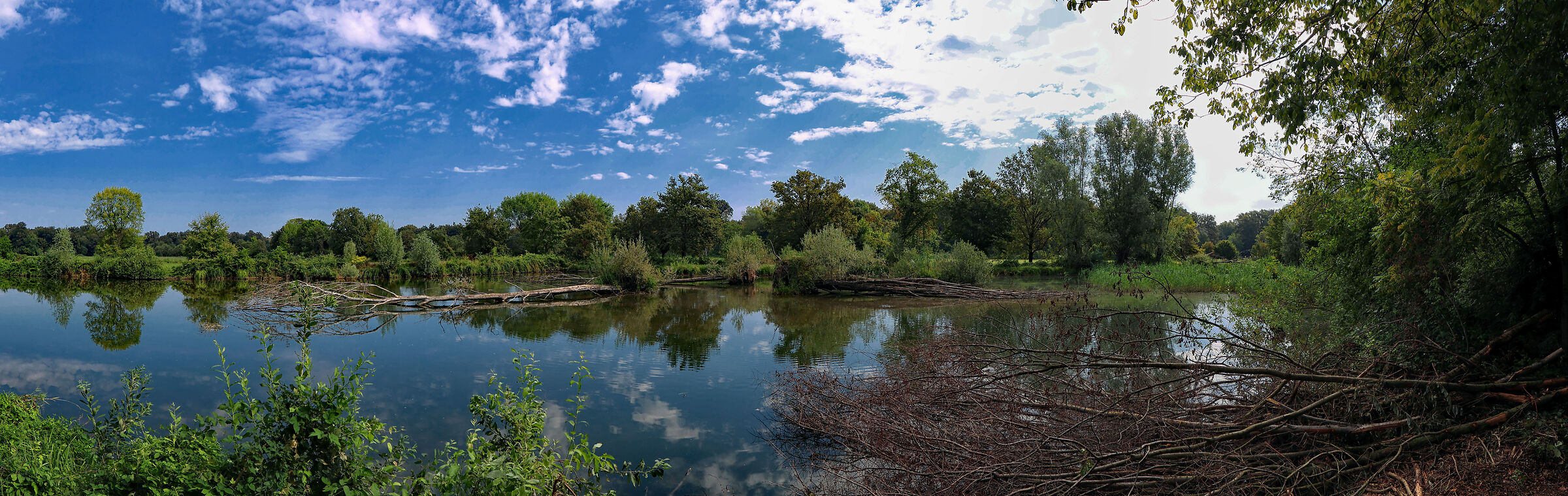 Bosco Fontana: l'Area umida