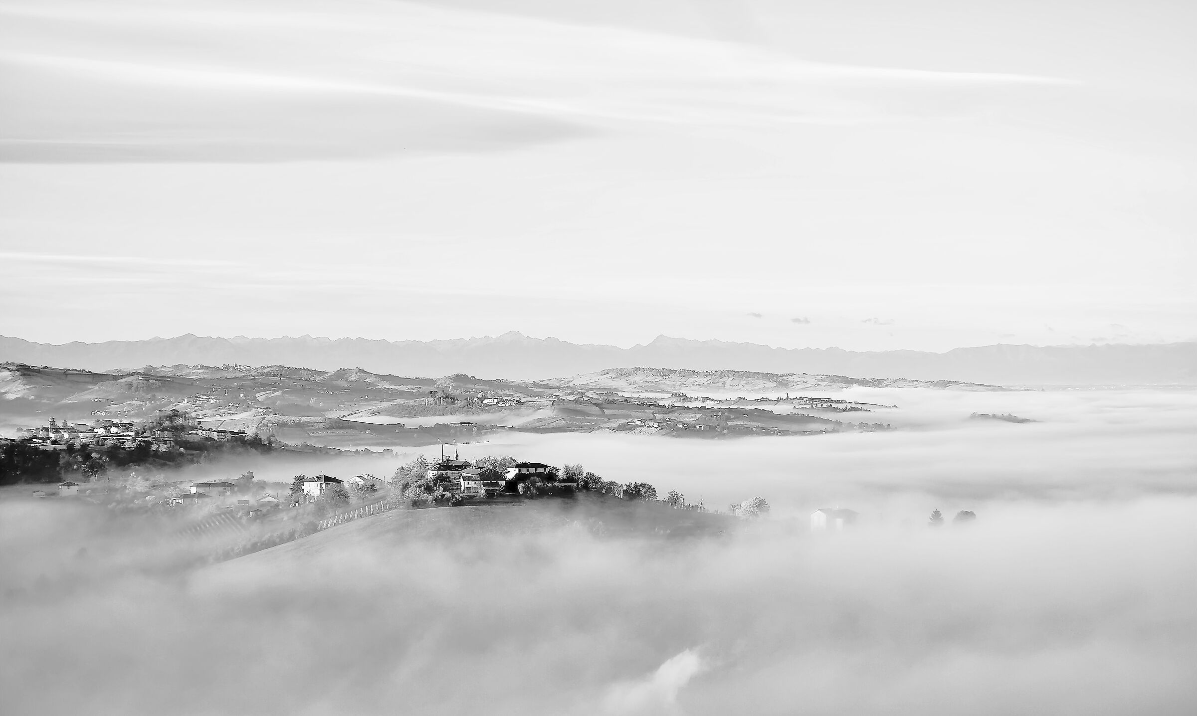 The fog