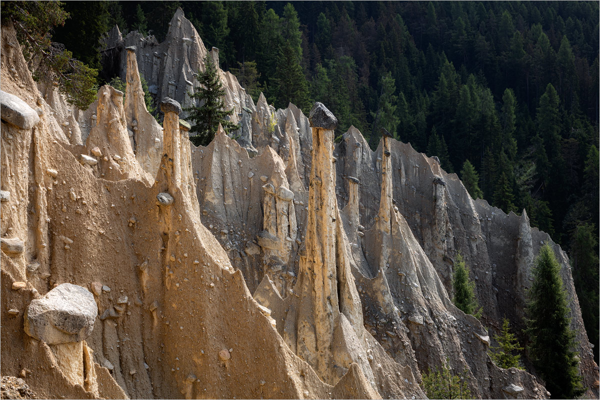Stone Forest