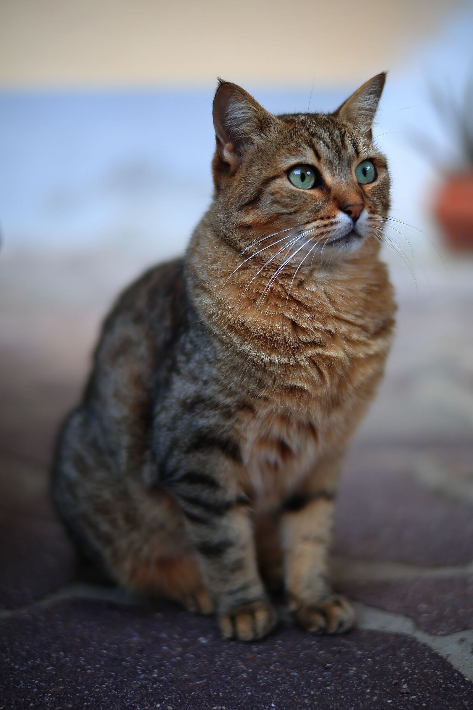 L'altra mia modella preferita ...