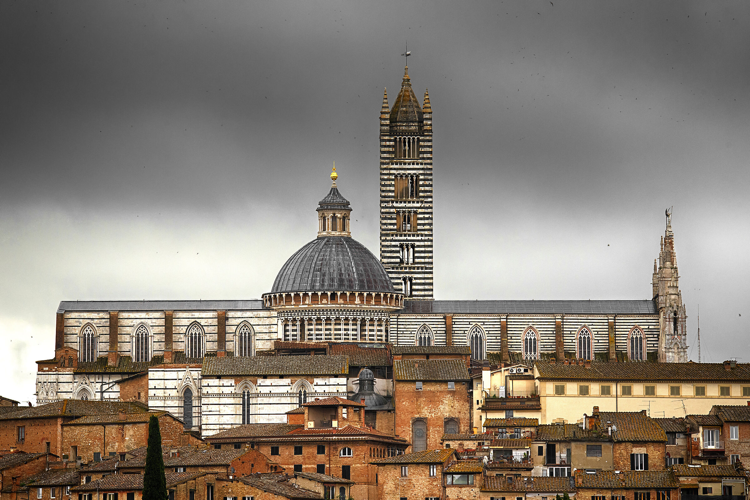 Cattedrale metropolitana di Santa Maria Assunta, Siena