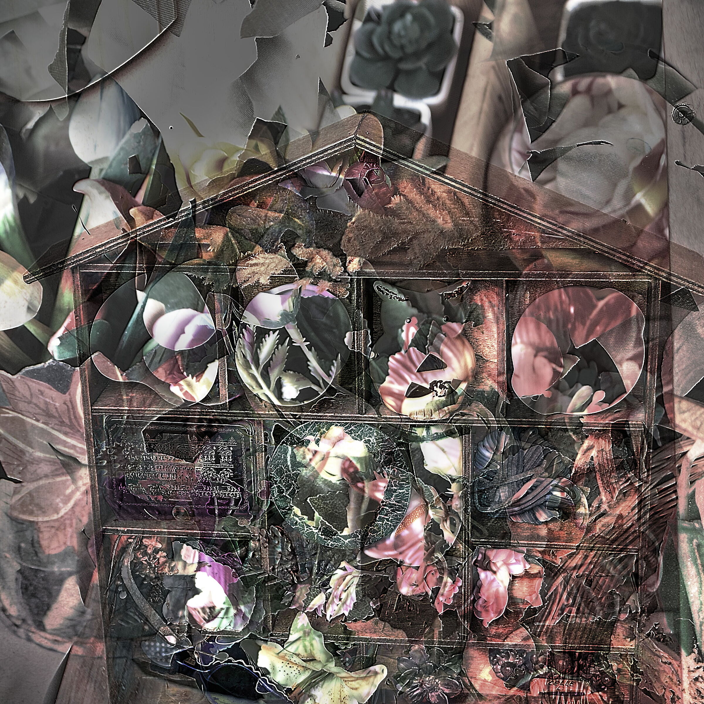 FLOWERS IN CAPTIVITY