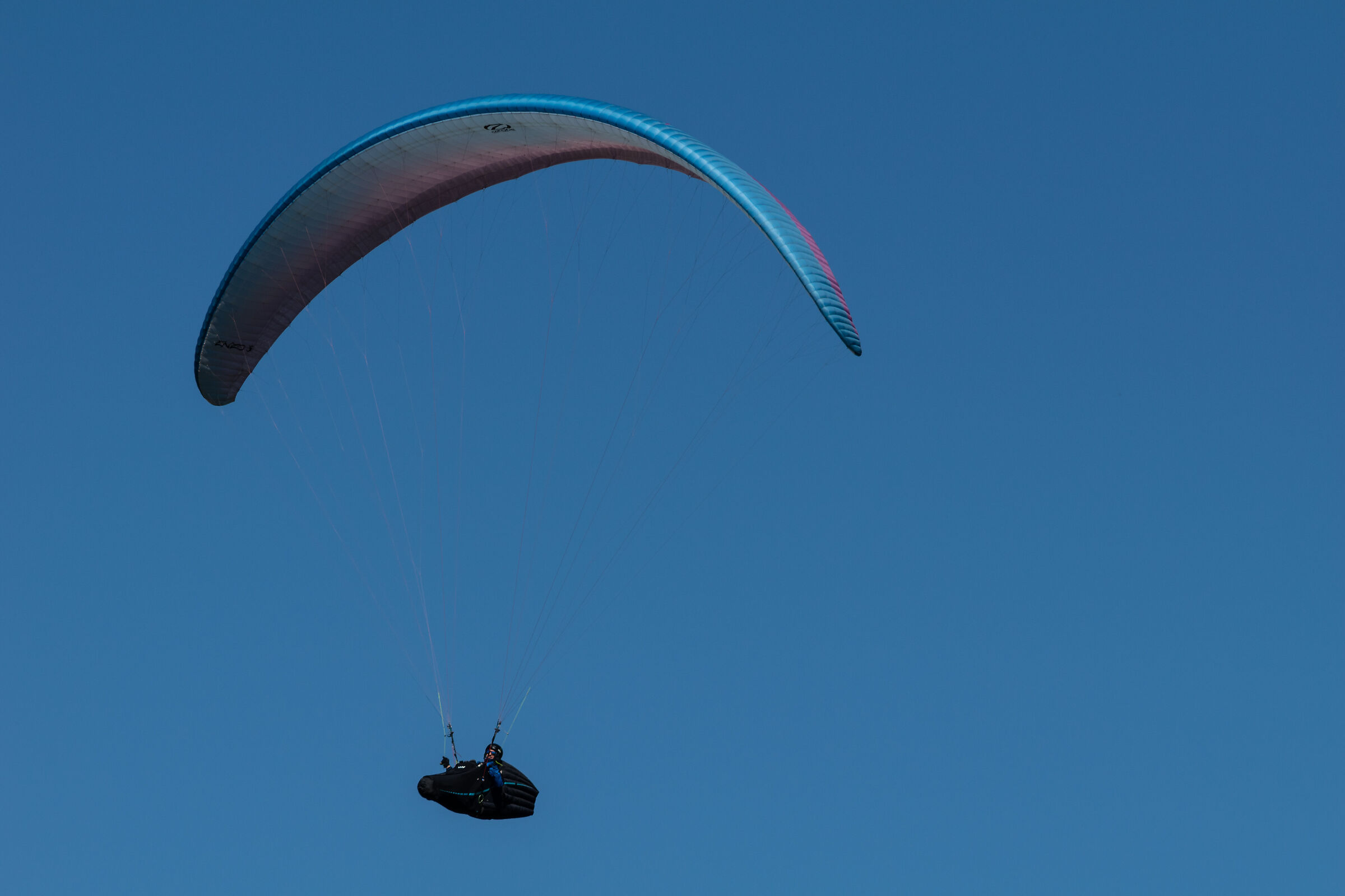 Paraglider