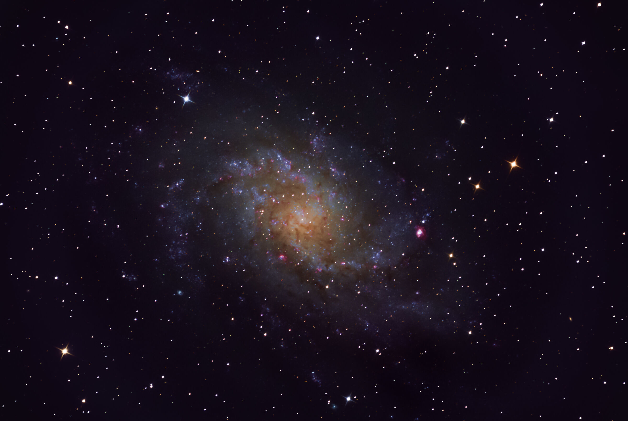 M33
