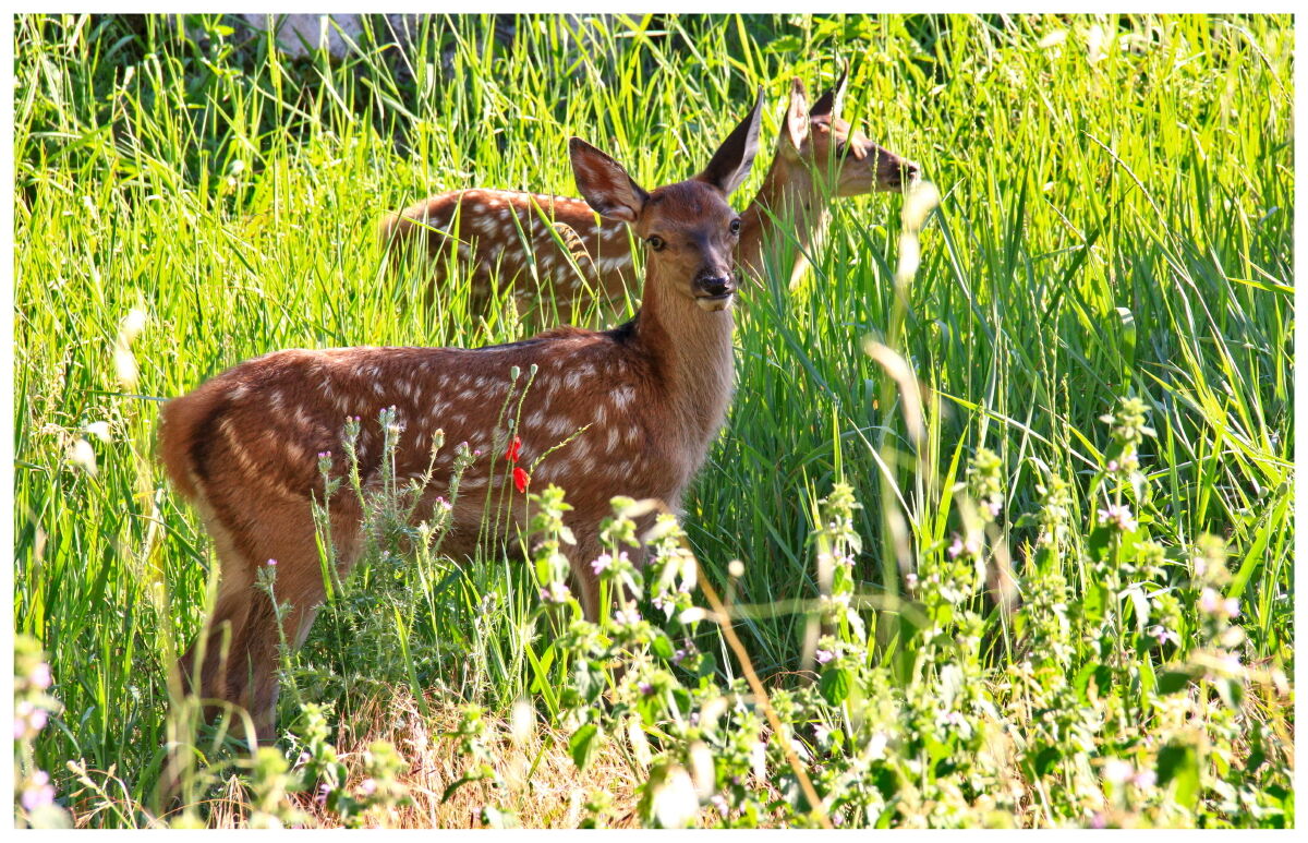 A tender encounter