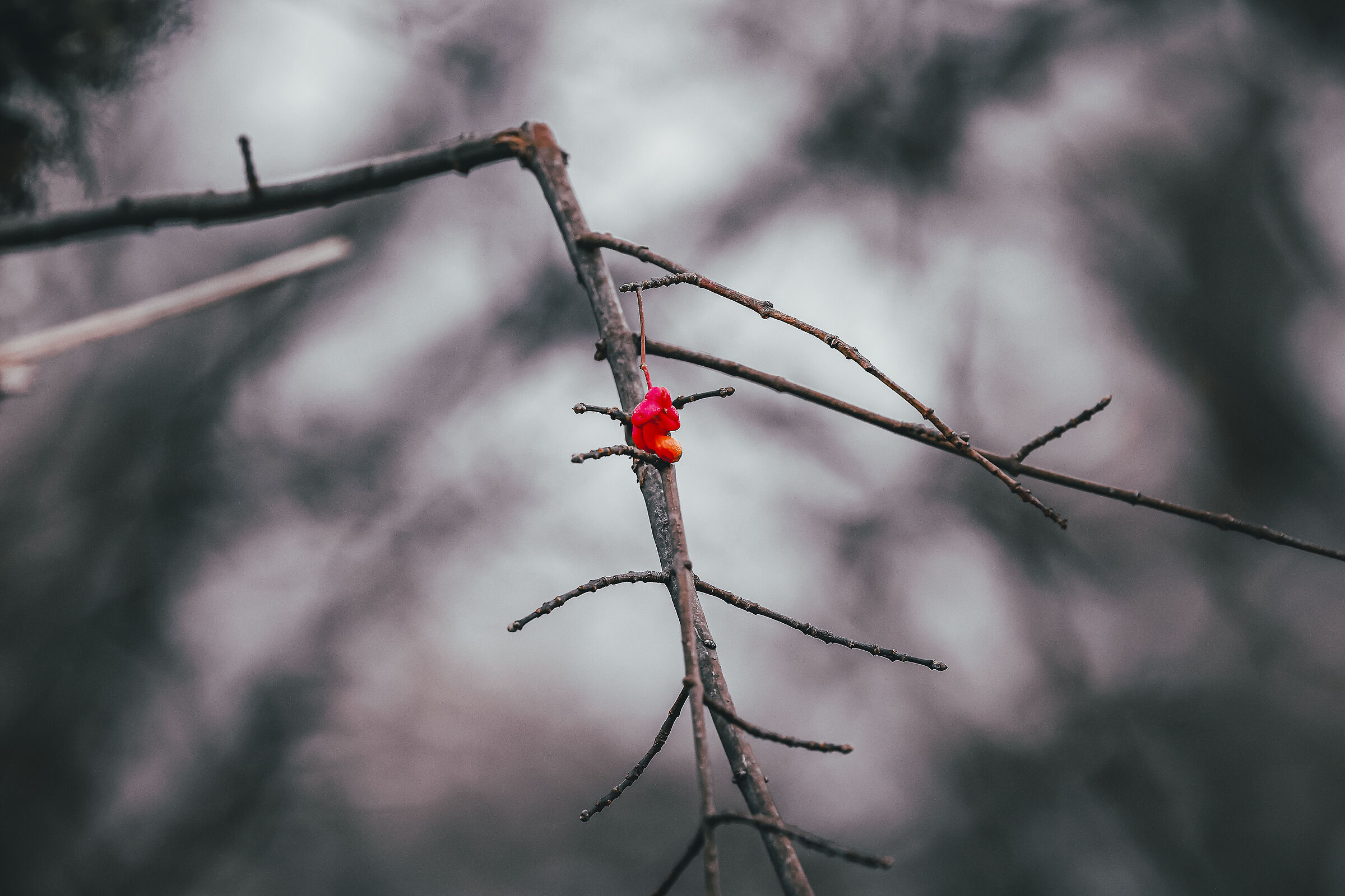 The magic of autumn