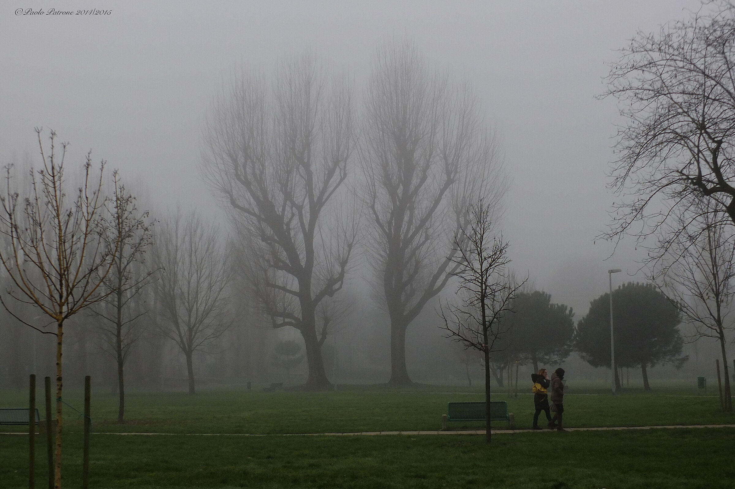 'Forse un mattino andando'