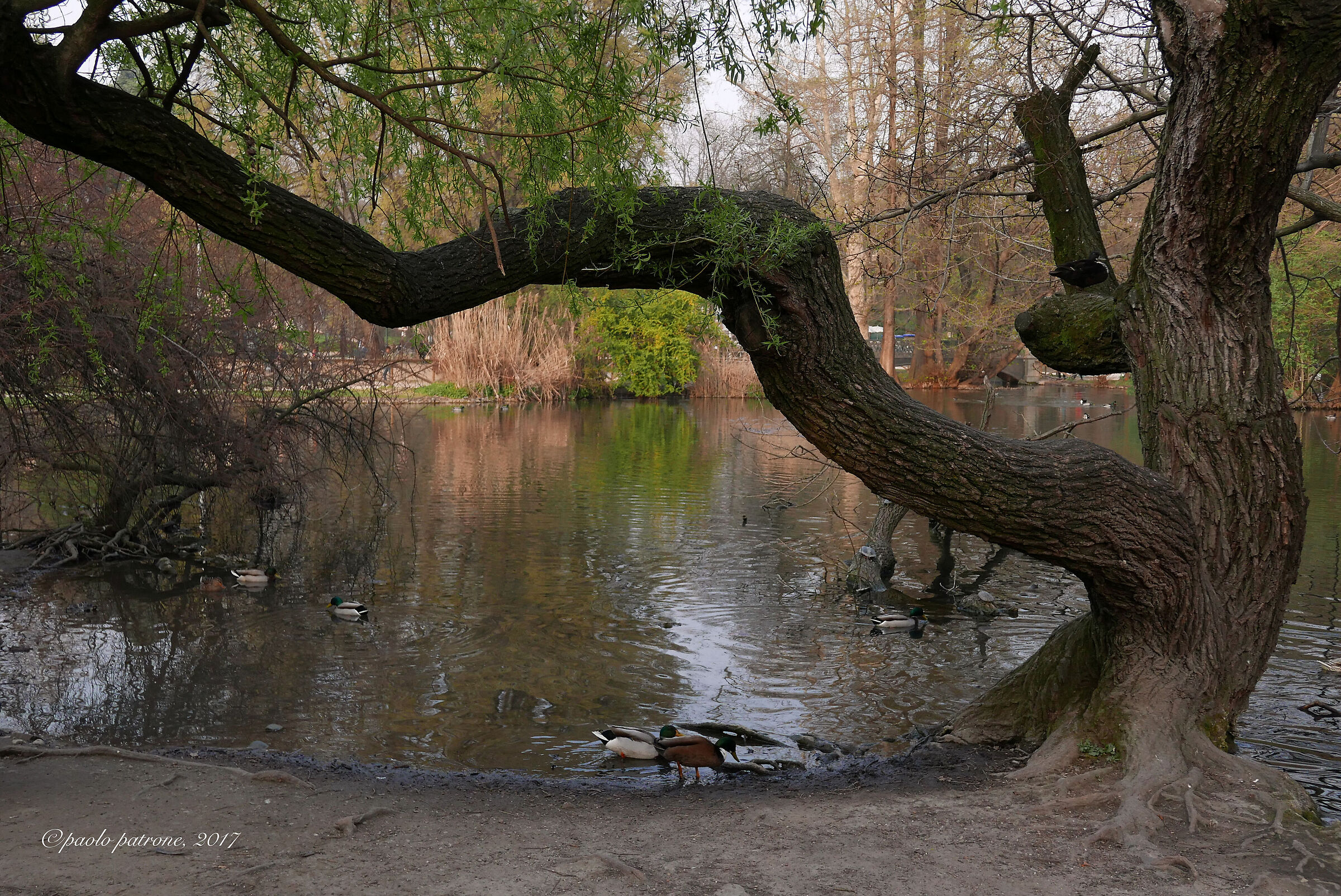 Un angolo di distensione, Parco Indro Montanelli