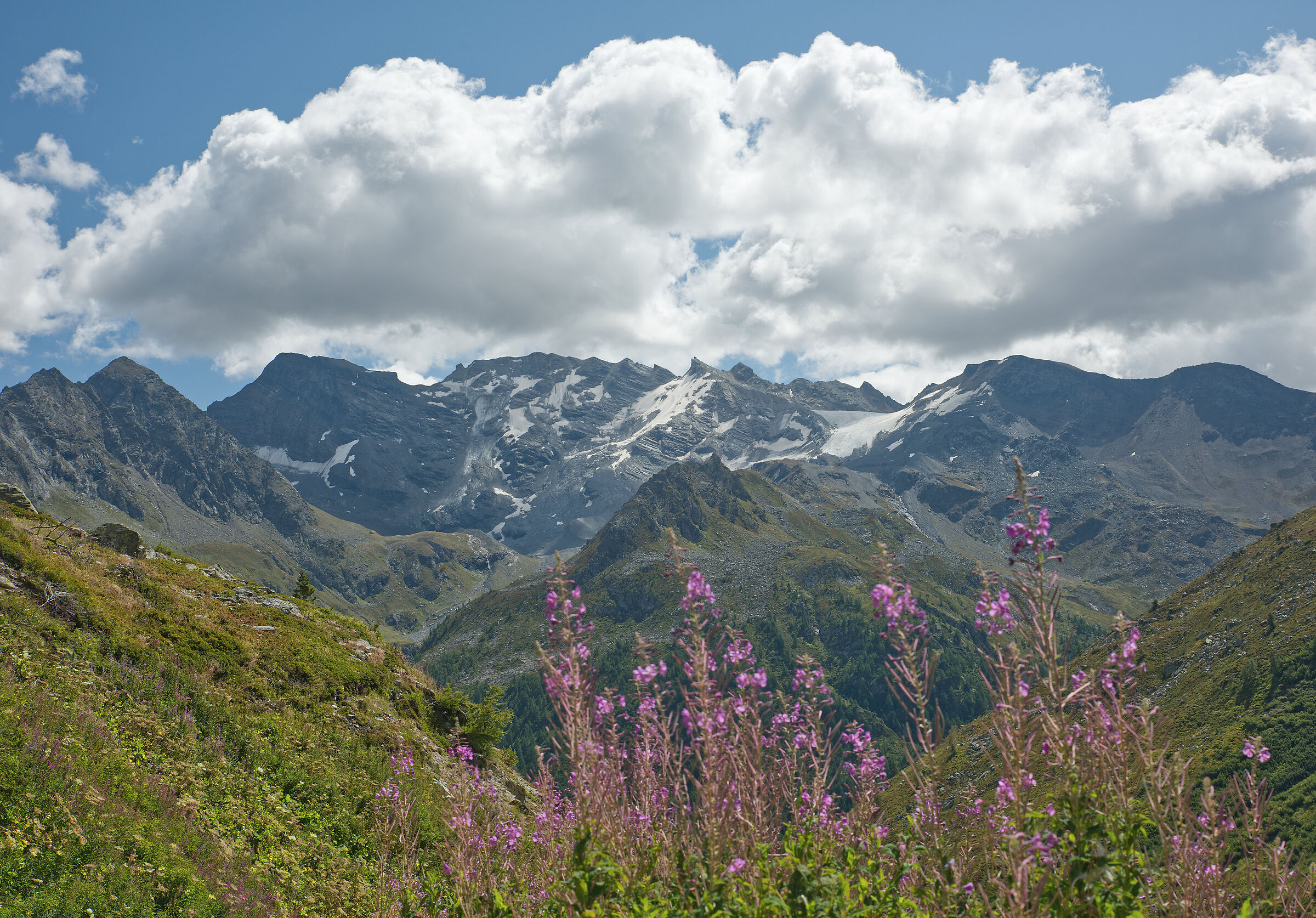 Valgrisenche-Lake S.Grato August 2021
