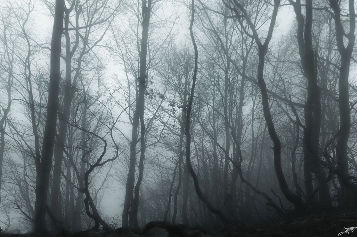 Last lights of the day