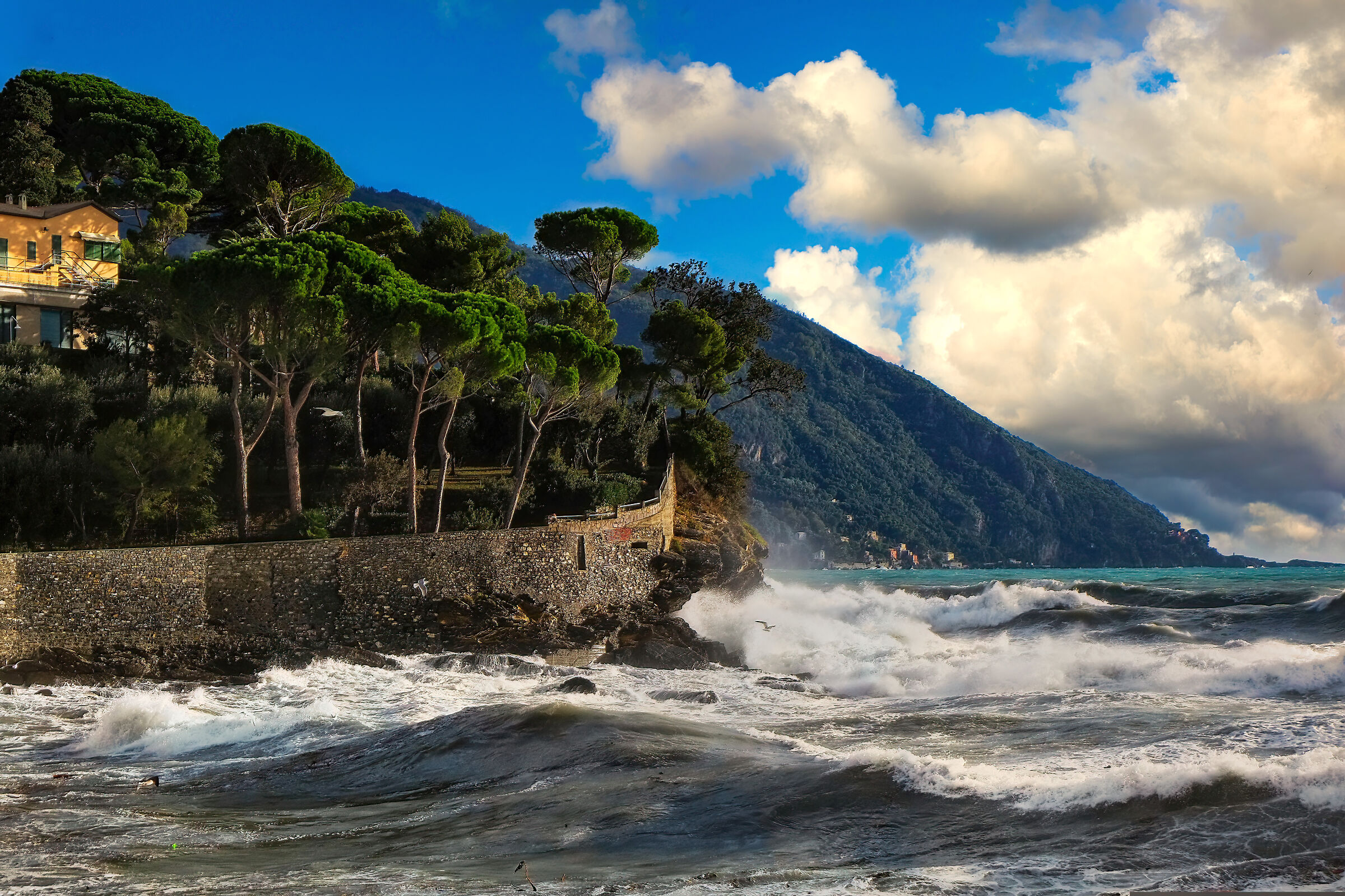 Wave after wave.........