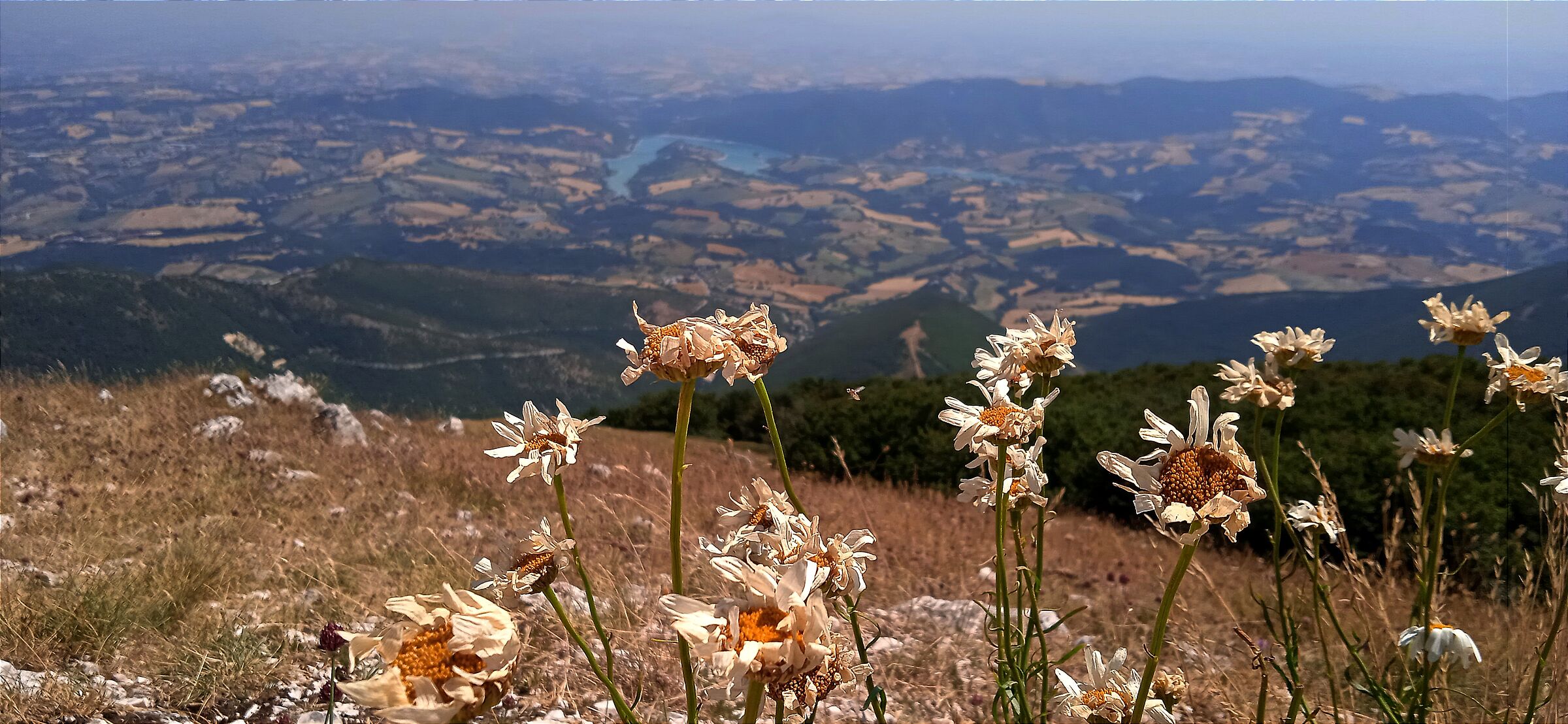 Monte San nearby