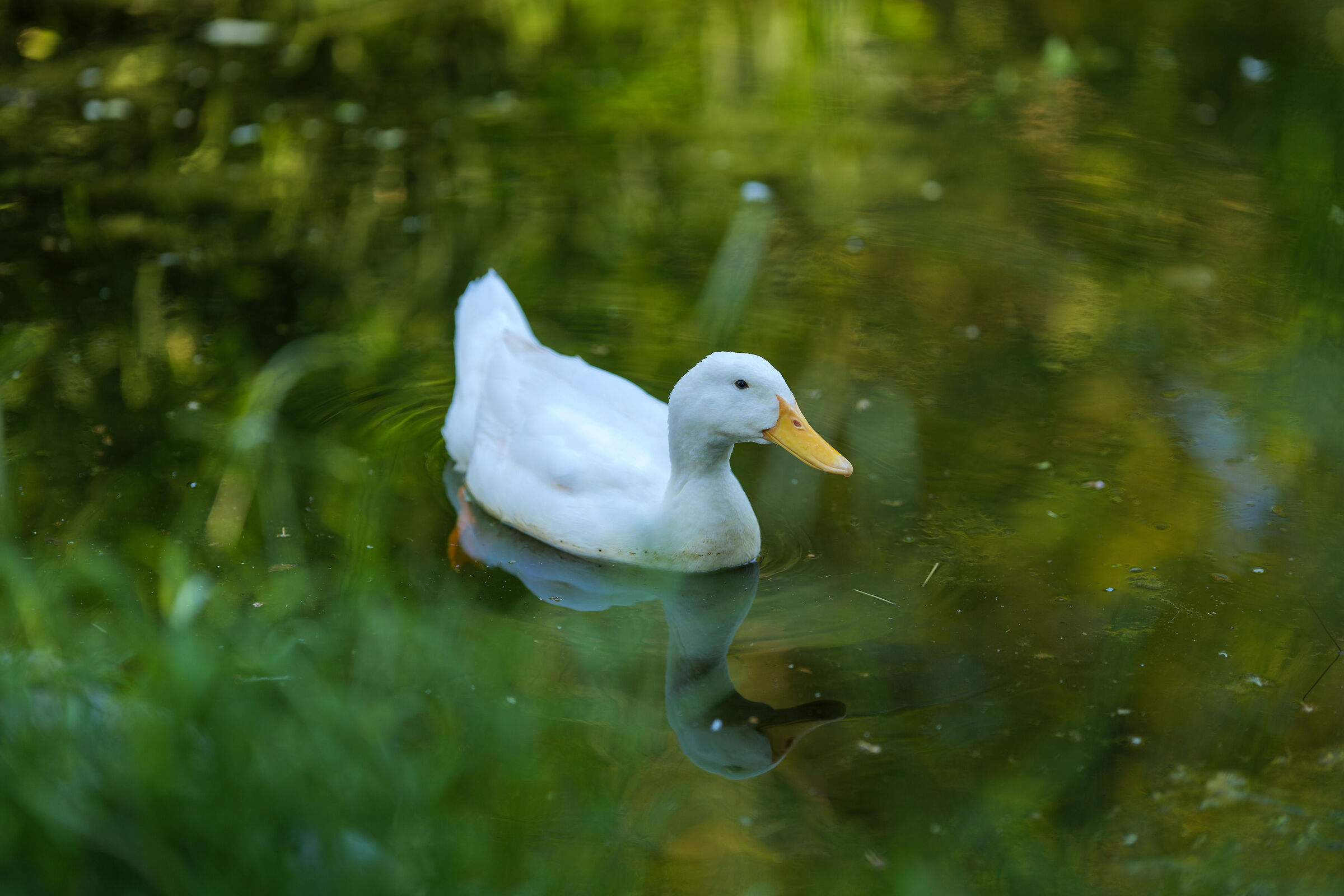 Untitled Photo