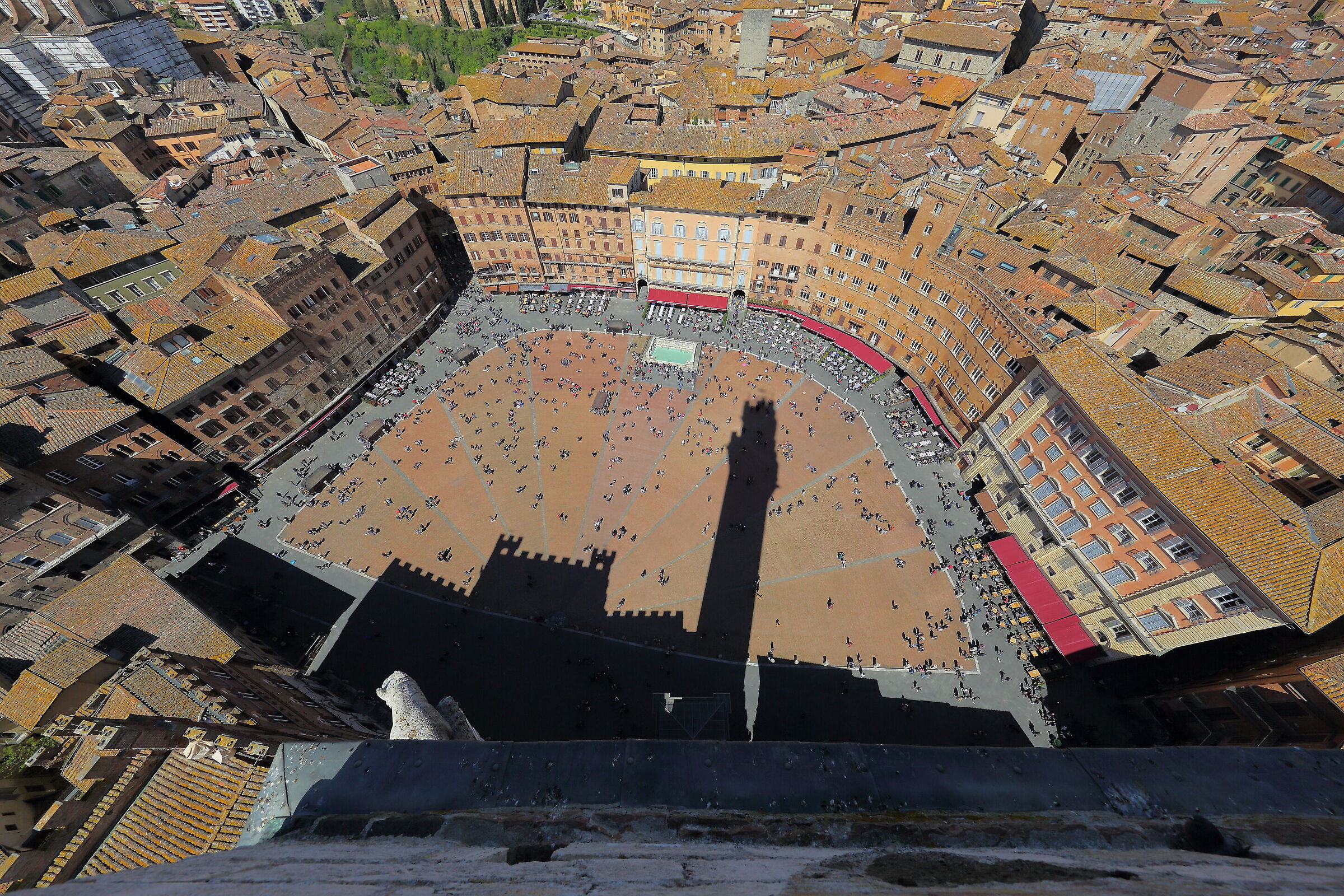 L'ombra del Mangia sul Campo