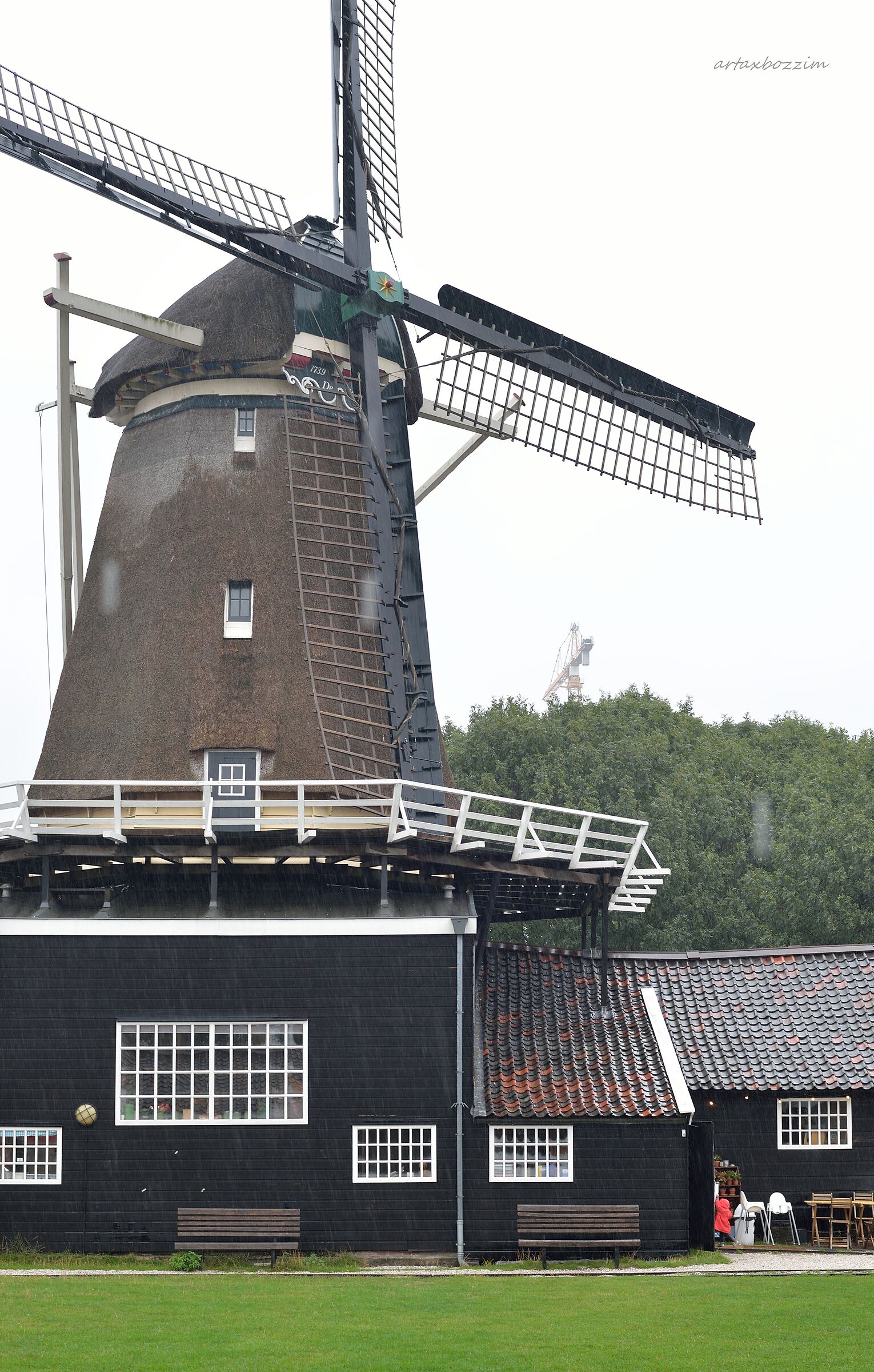 'Akazukin-chan' ga amayadori o suru