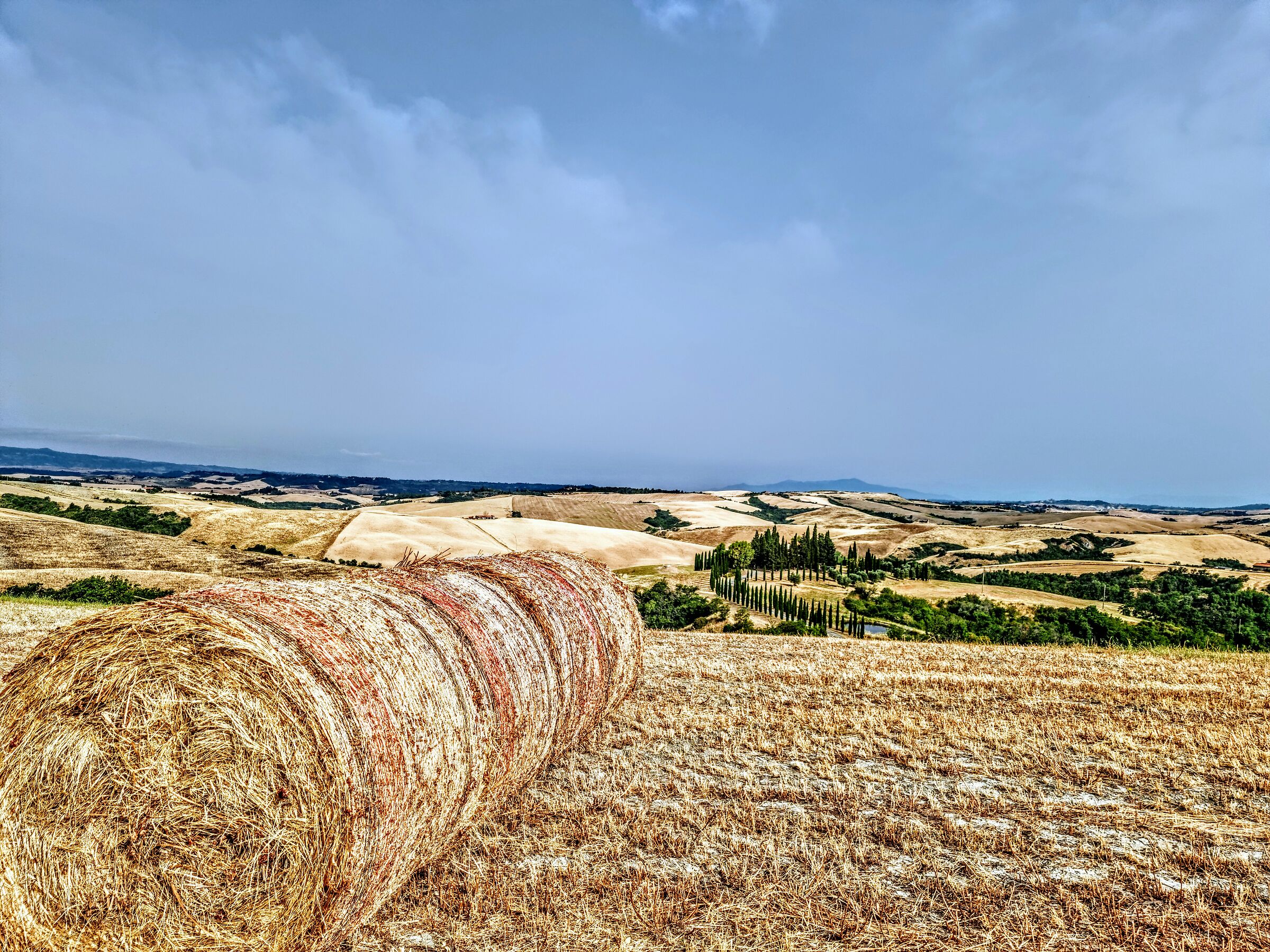 Paesaggio campestre