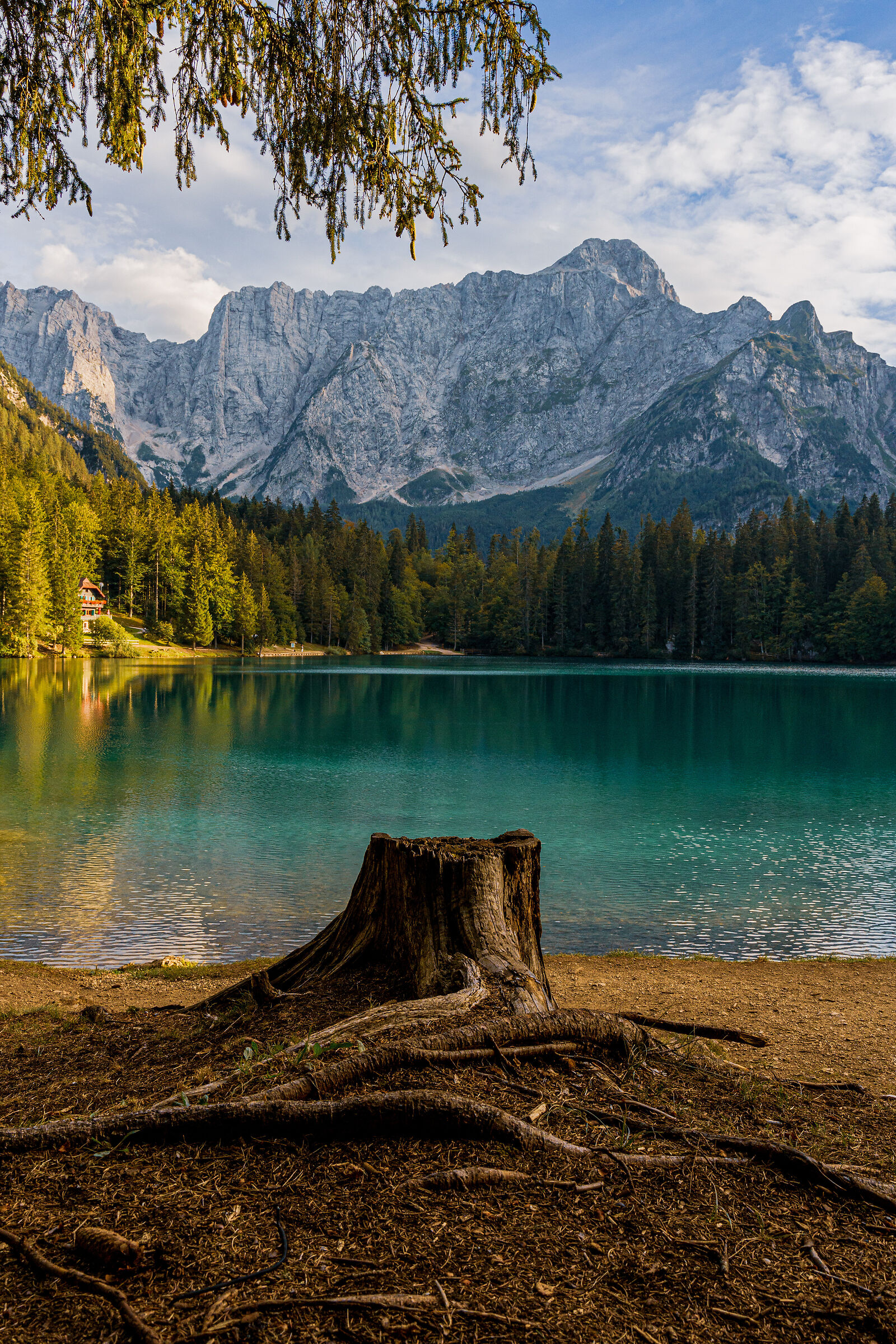 Have you been inside a fairy tale?