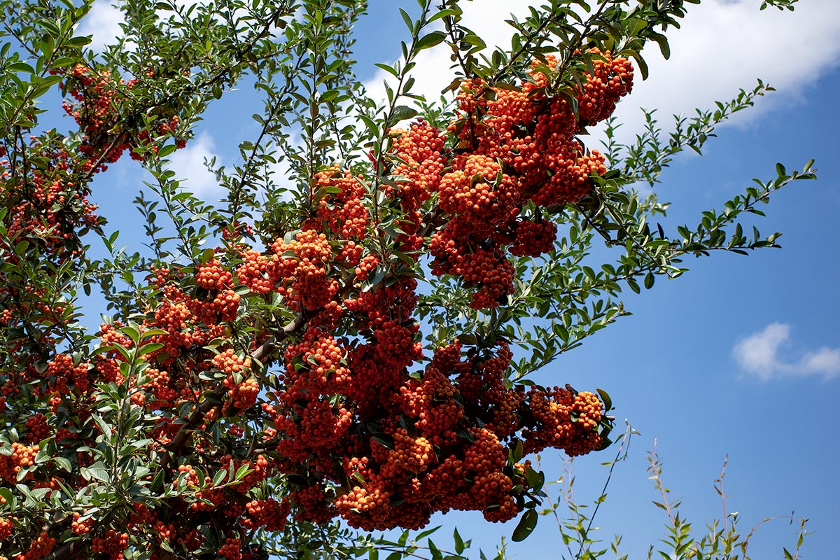 Dopo una lunga attesa...