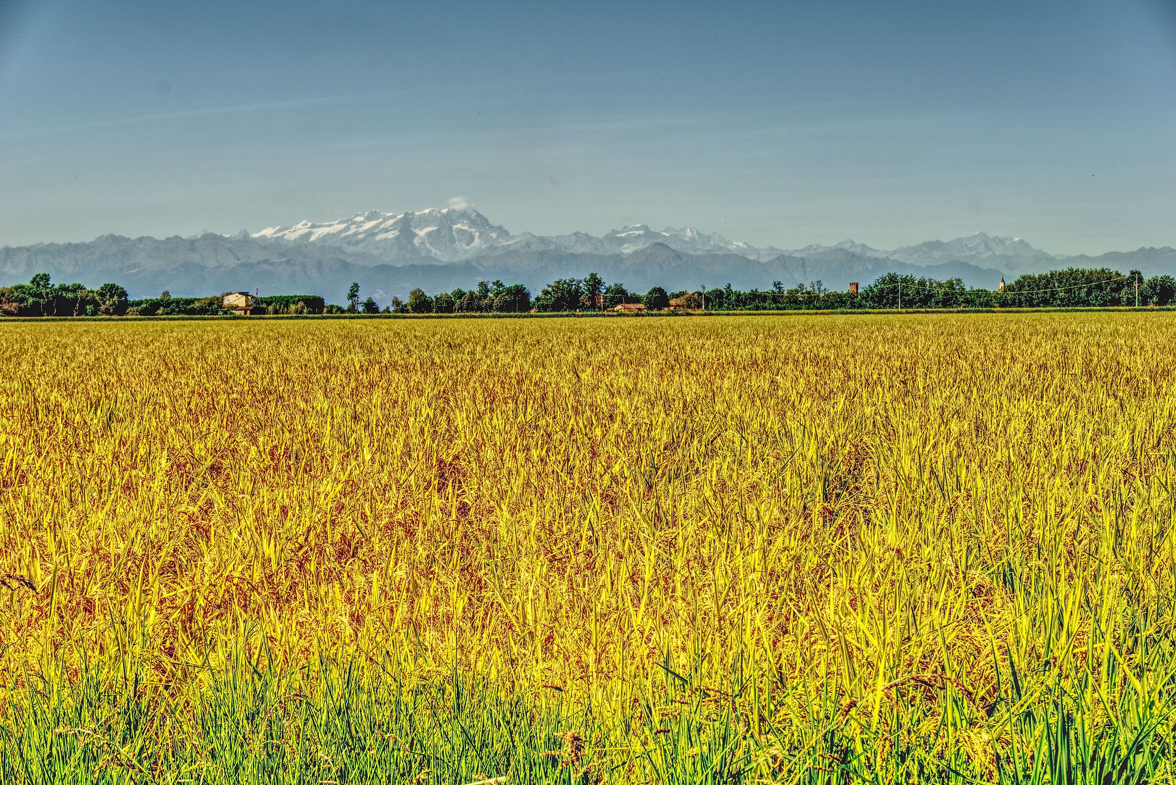 Pianura con vista Monte Rosa