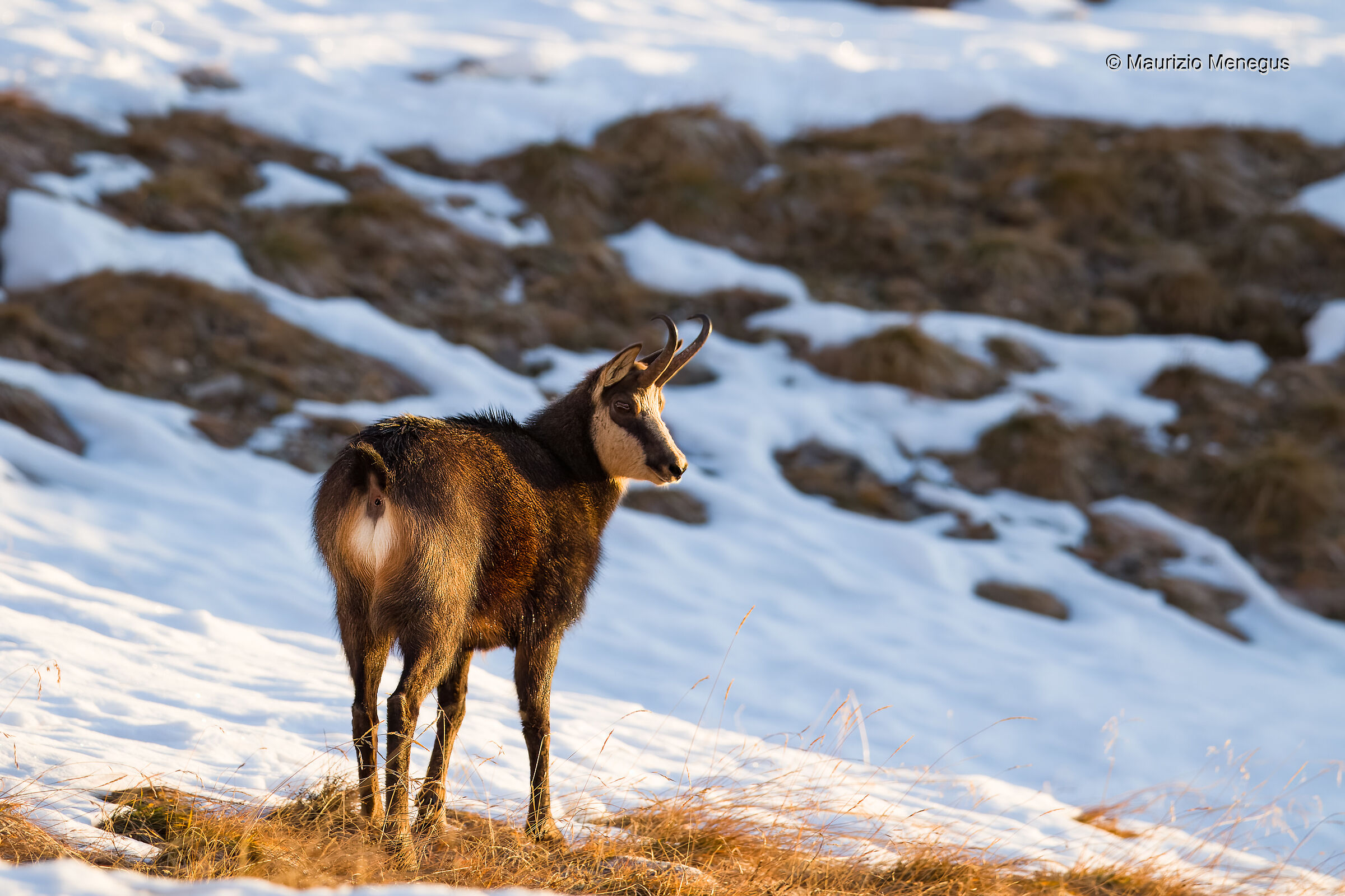 Primi raggi di sole in alta montagna