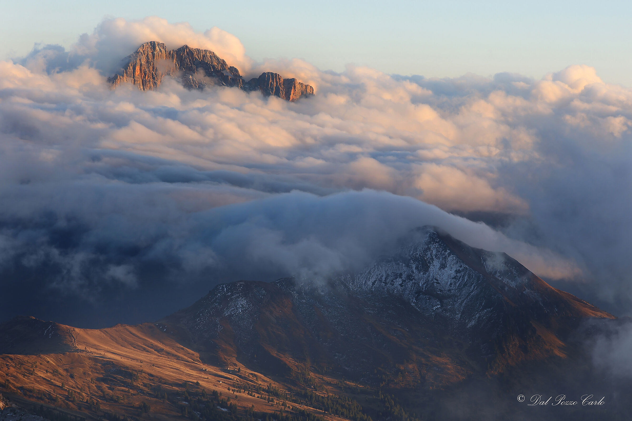 The Owl in the clouds