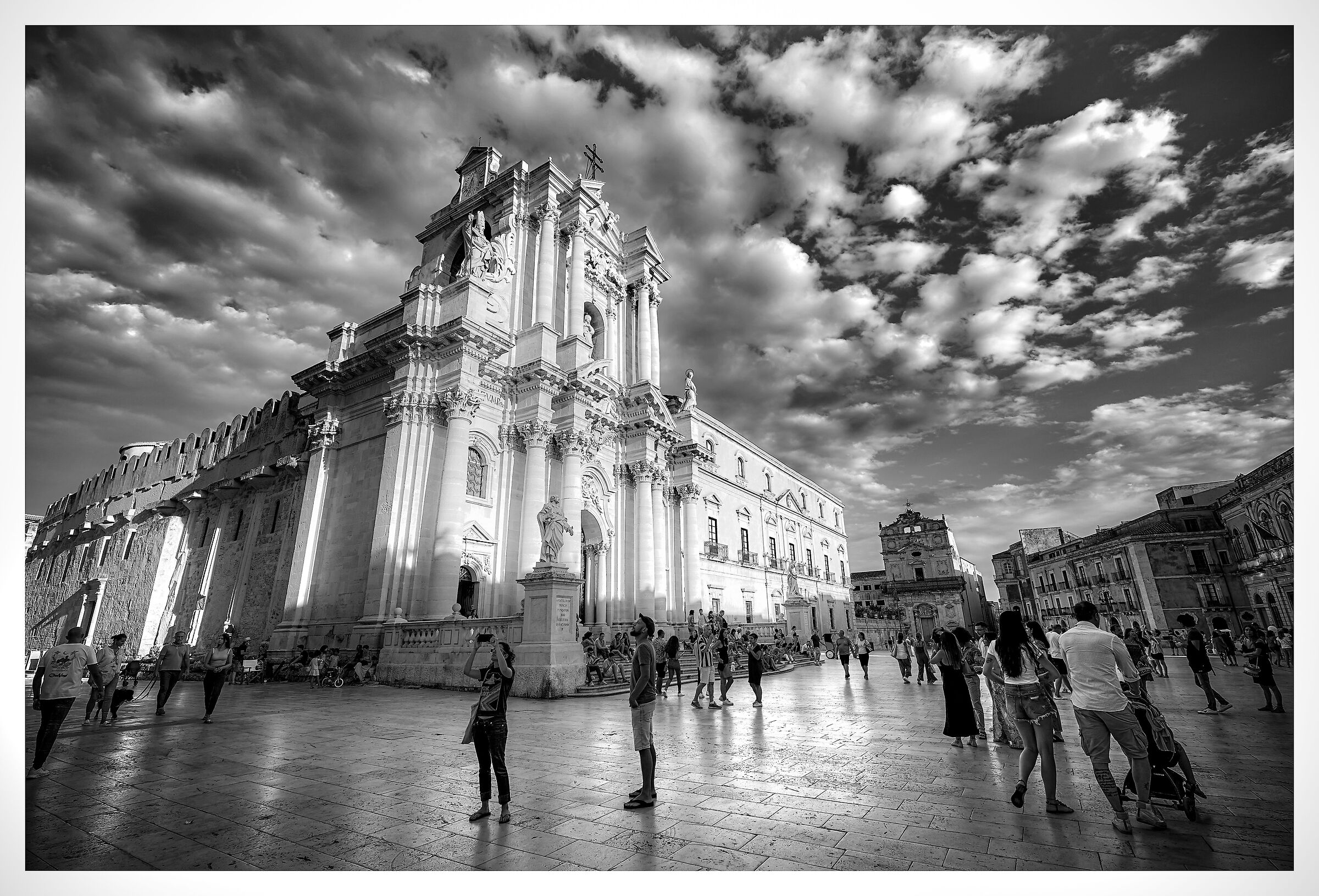 Ortigia bn