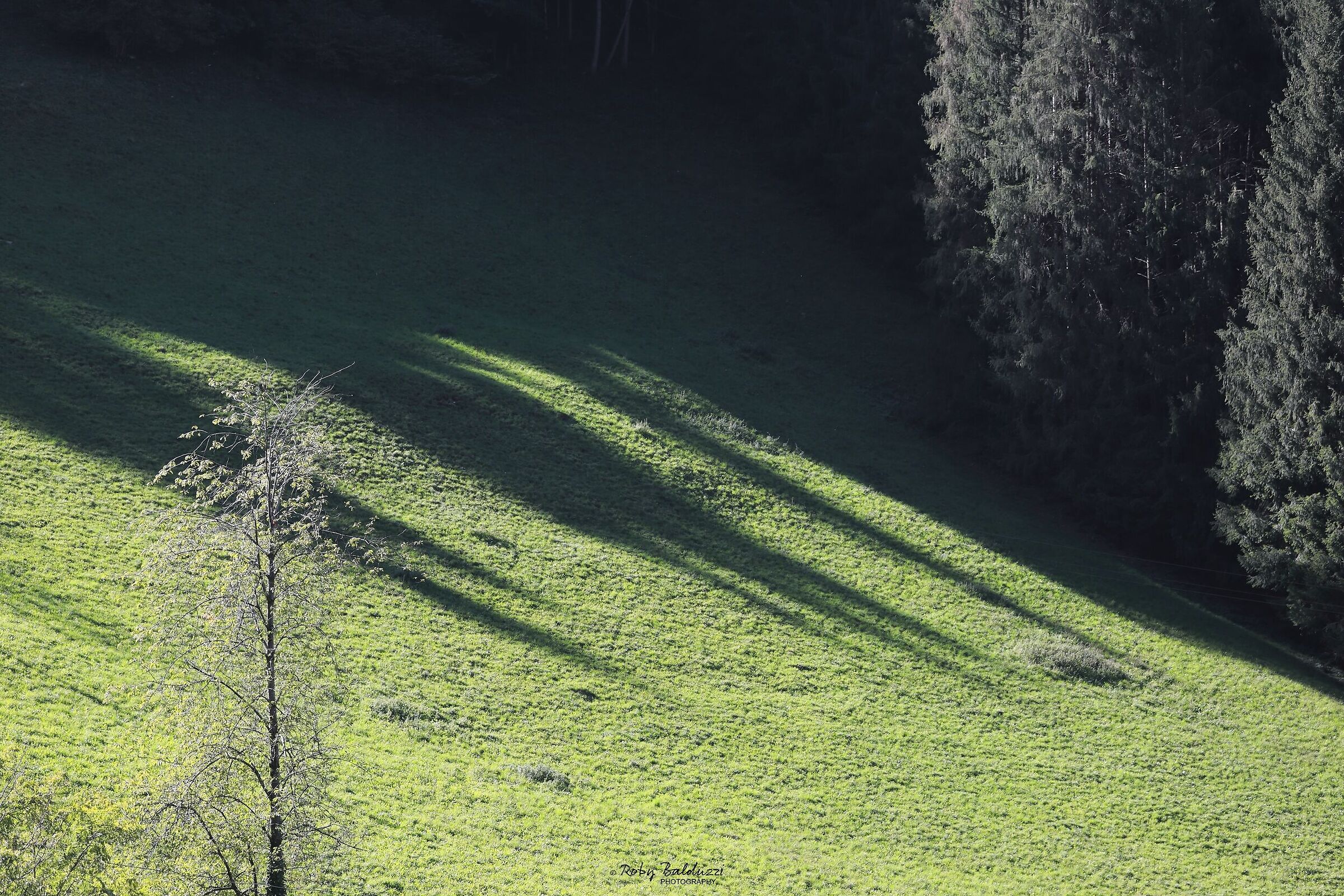 Le ombre di Giuliano