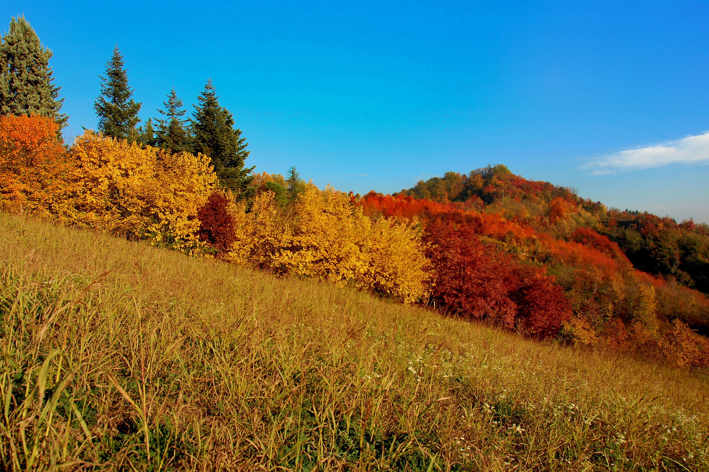 La discesa dell'autunno