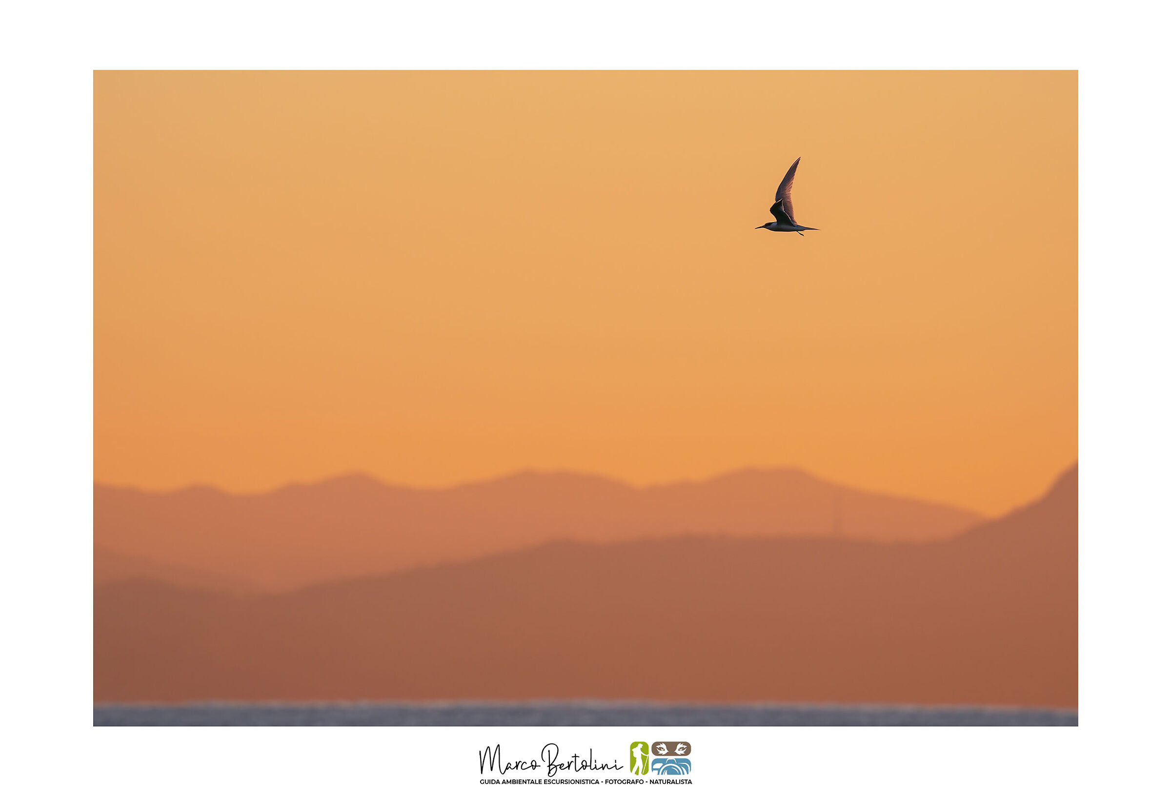 Beccapesci ambientato